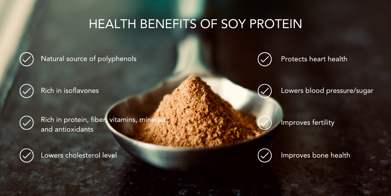 Soy Protein Banner.png