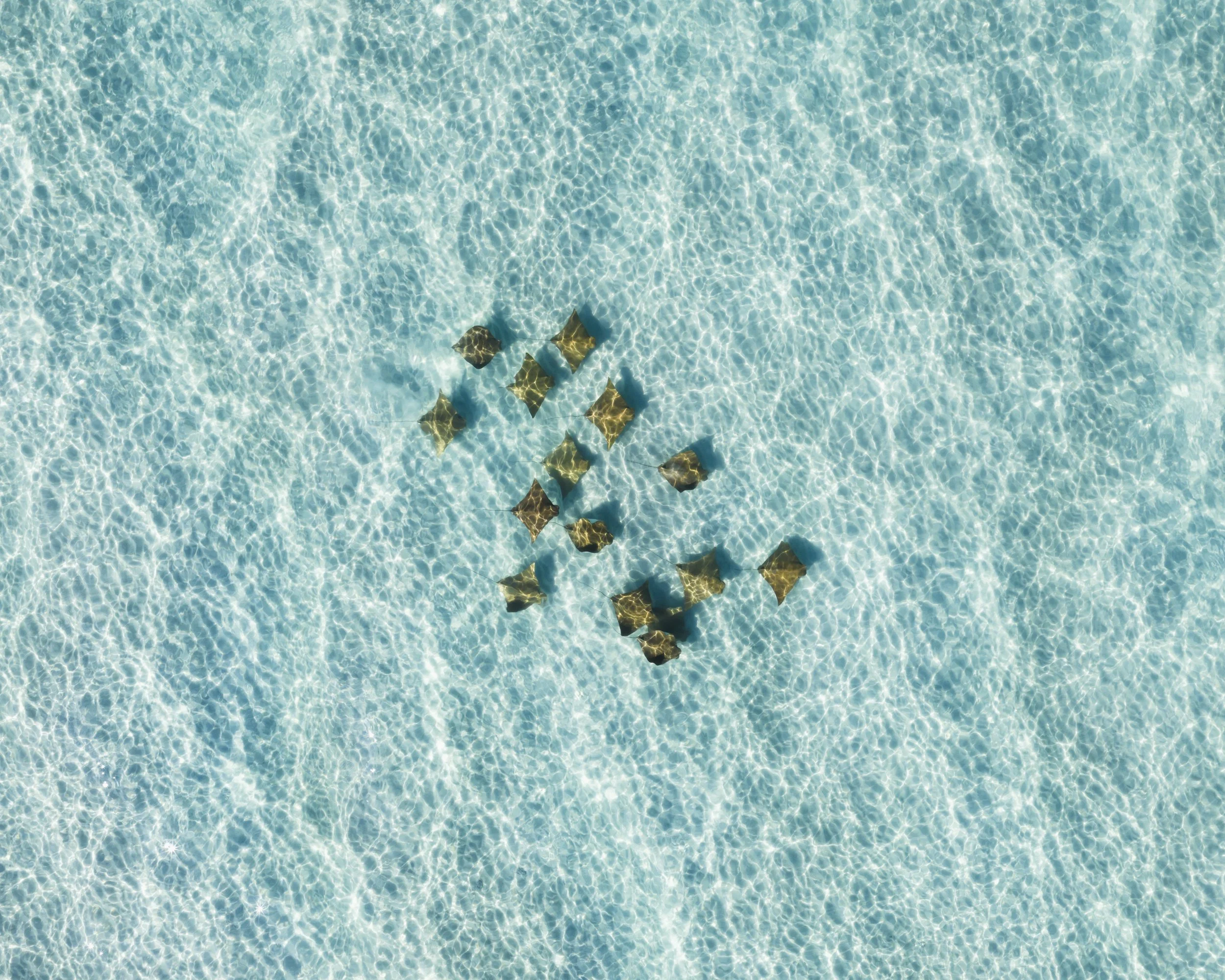 DJI_20251107154053_0592_D.jpg