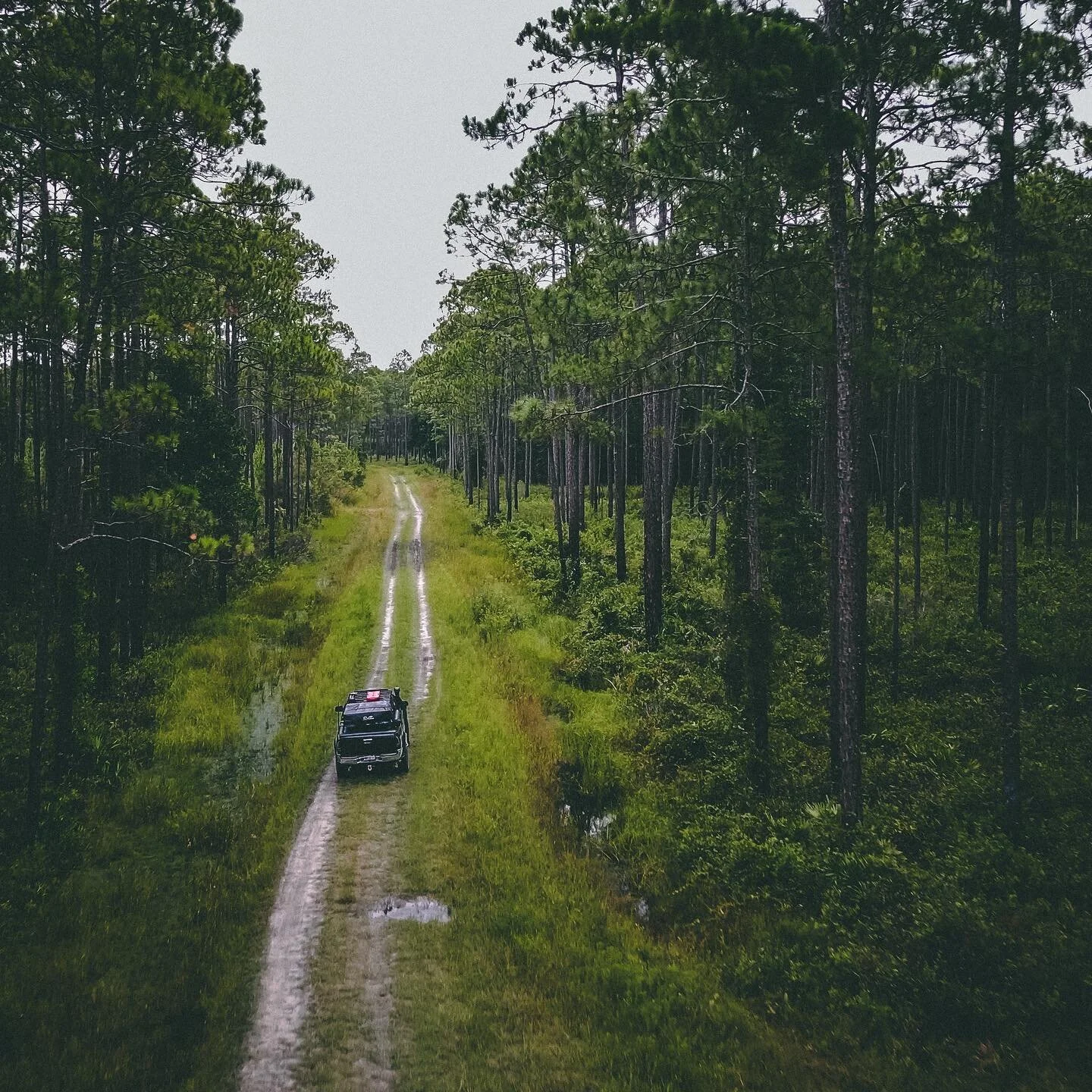 It&rsquo;s mid week and we are missing the trails! Lately, we have been exploring on the Florida Adventure Trail and we can&rsquo;t wait to get back out there! 

#floridaadvneturetrail #overland #adventuretrail #adventure #thefloridaadventuretrail #t