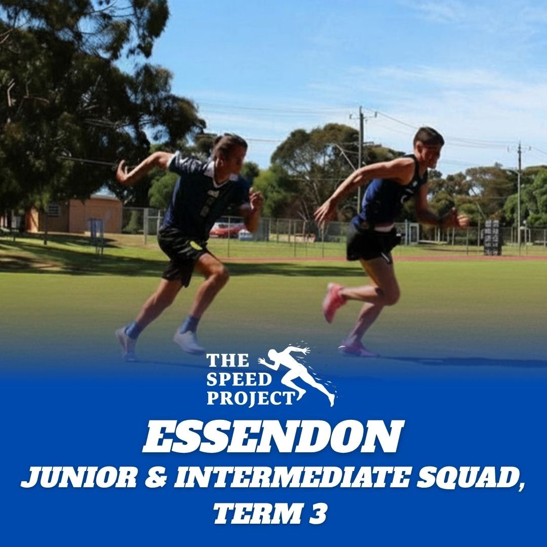 Junior / Intermediate Squad - Term 3, 2026 - (Essendon)