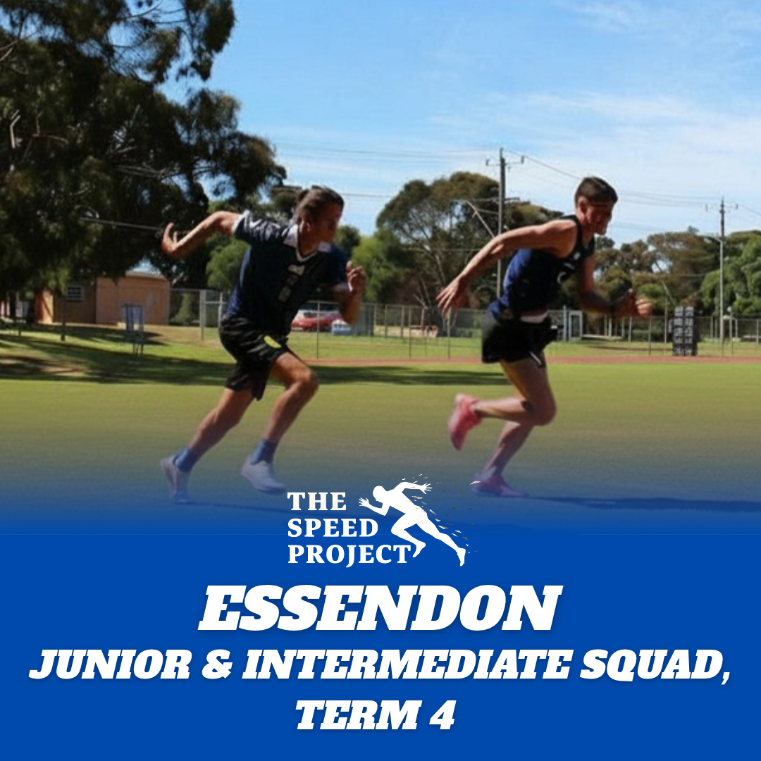 Junior / Intermediate Squad - Term 4, 2026 - ESSENDON