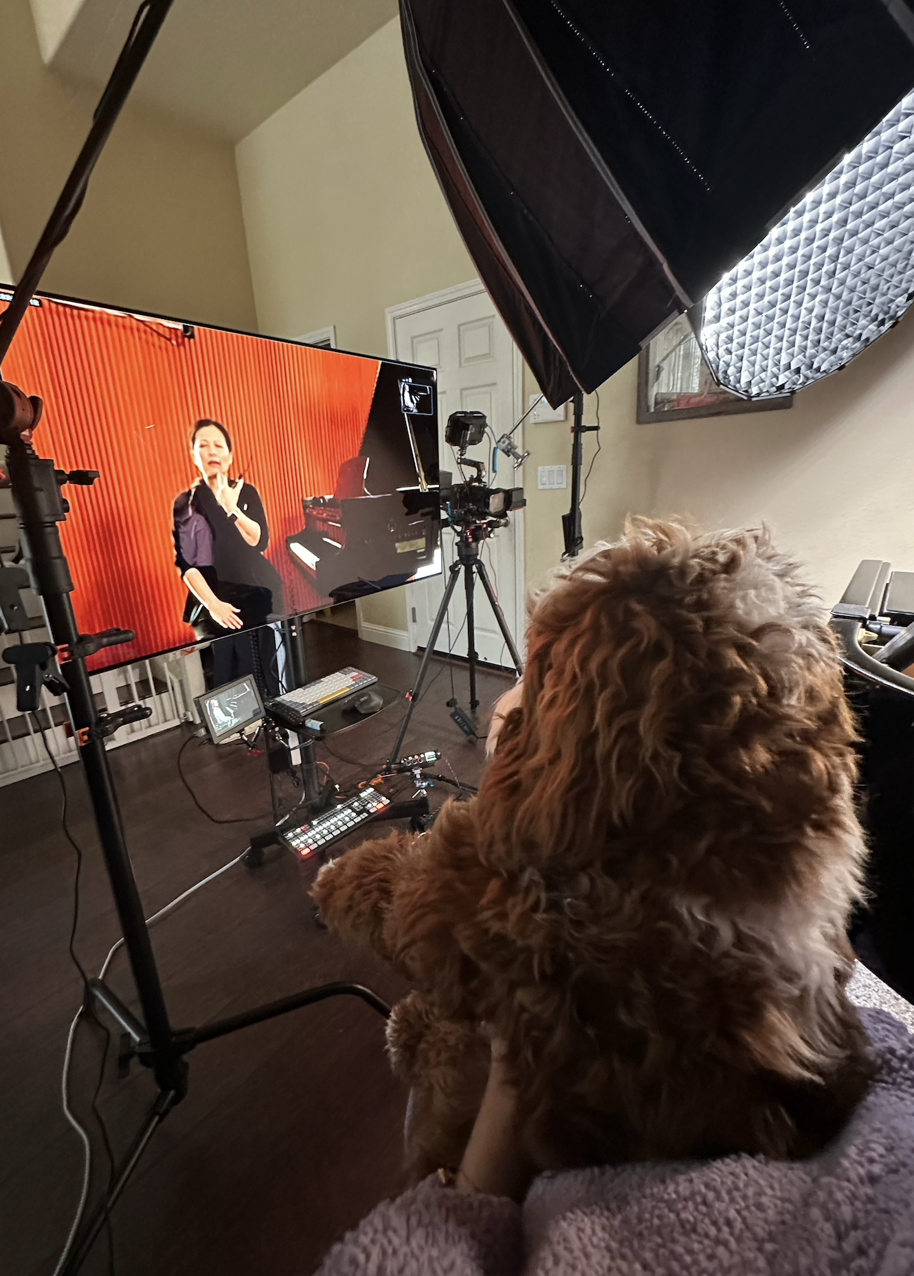 Screenshot 2023-02-19 at 7.37.14 AM.png