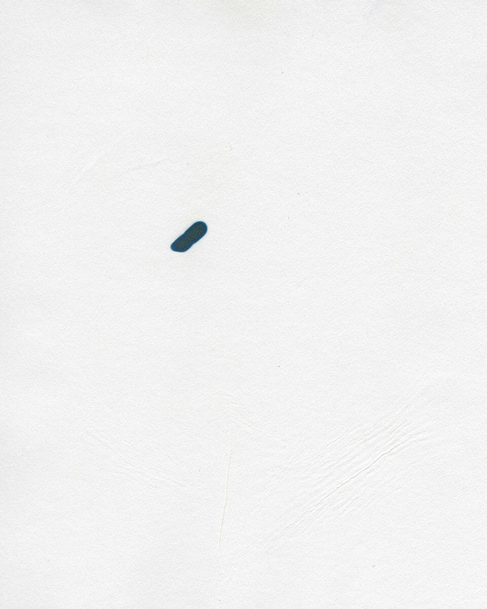 A Meditation on Time and the Physical Diantance between Us03.jpeg