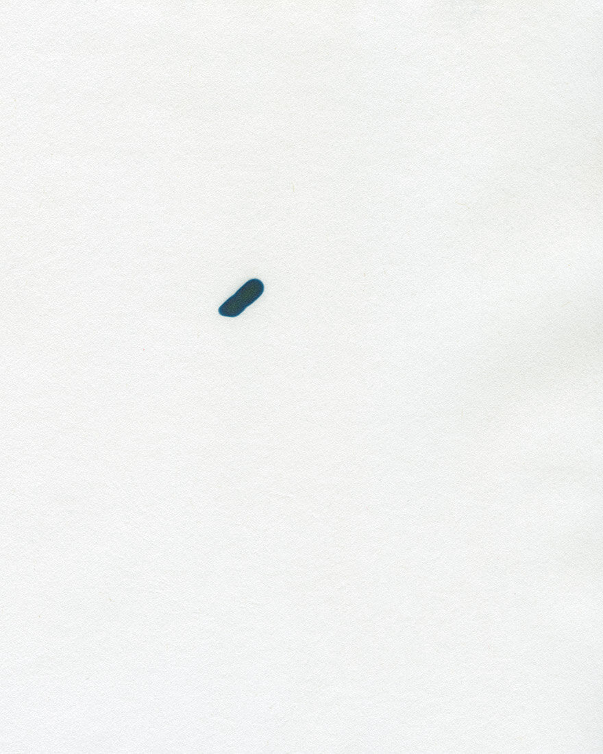 cyanotype burn010.jpeg