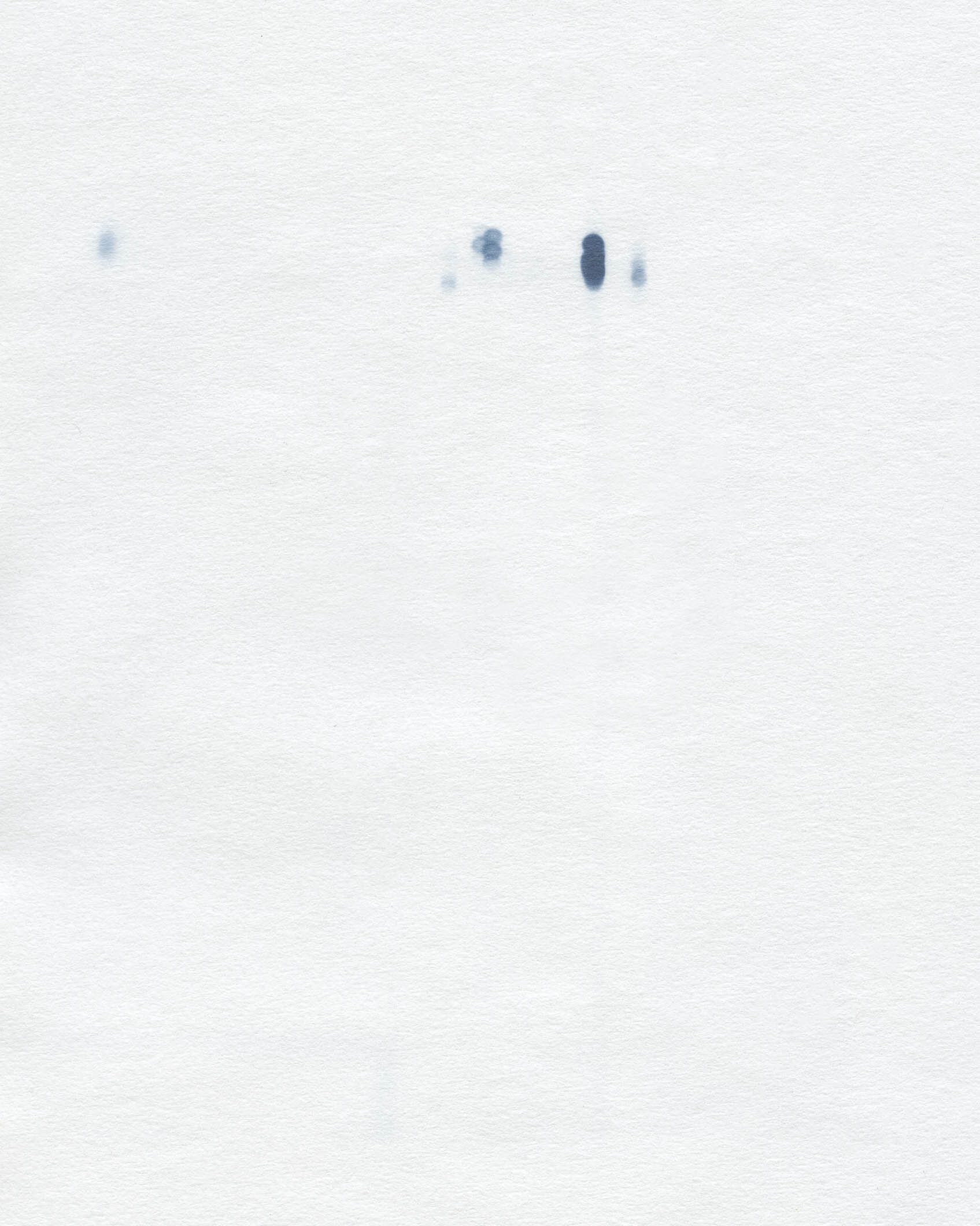 cyanotype burn023 copy.jpg