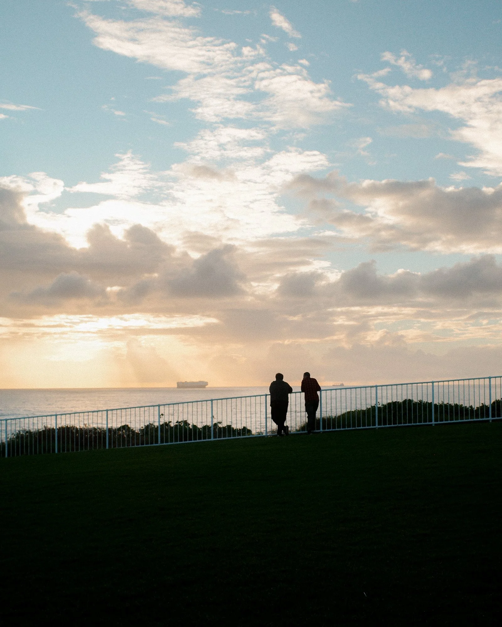 Two people are walking along a grassy area near a body of water during sunset or sunrise with clouds in the sky and ships in the distance.