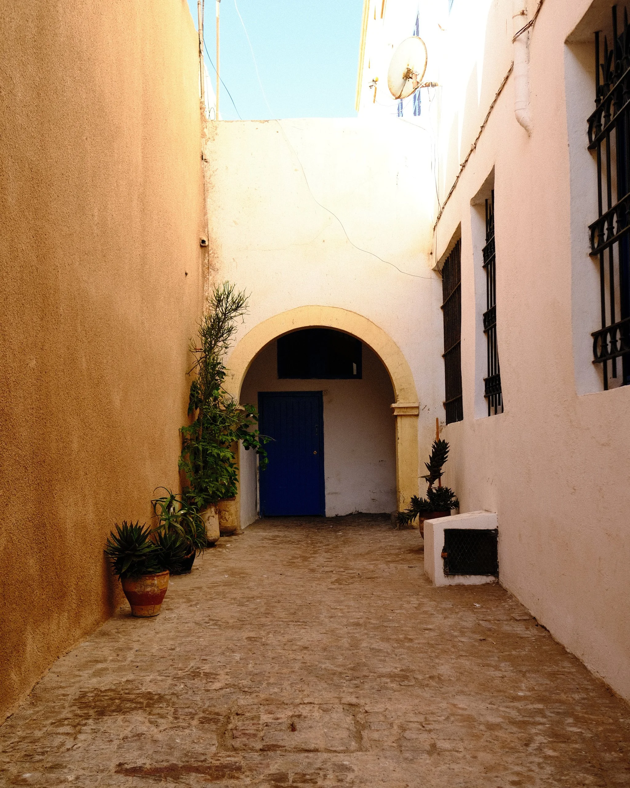 A narrow alleyway with white and beige walls, several potted plants, an arched doorway with a blue door, and a satellite dish on one of the buildings.