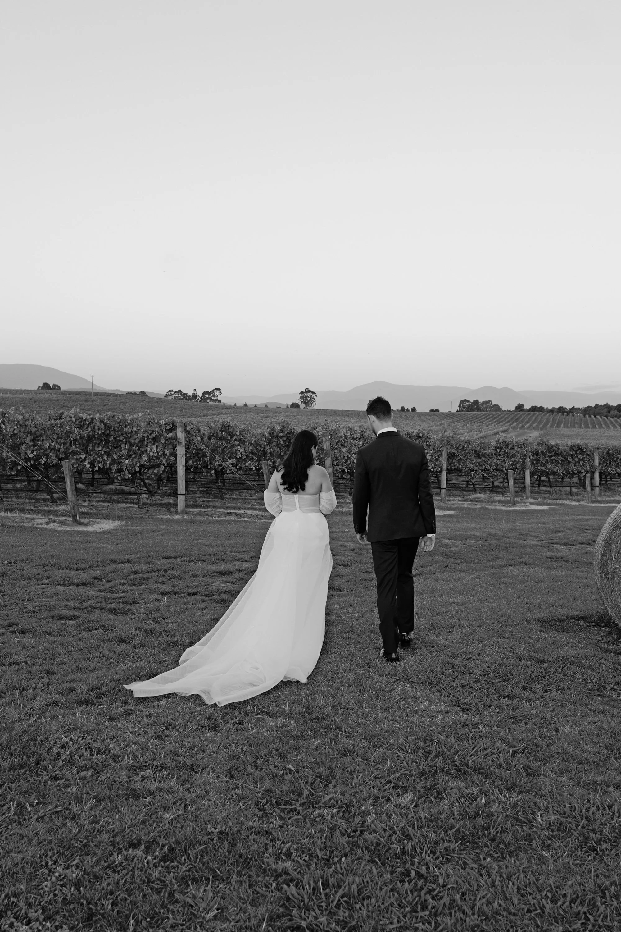 A bride and groom walking together in a vineyard at sunset, with mountains in the background. The bride wears a white wedding gown, and the groom wears a dark suit.
