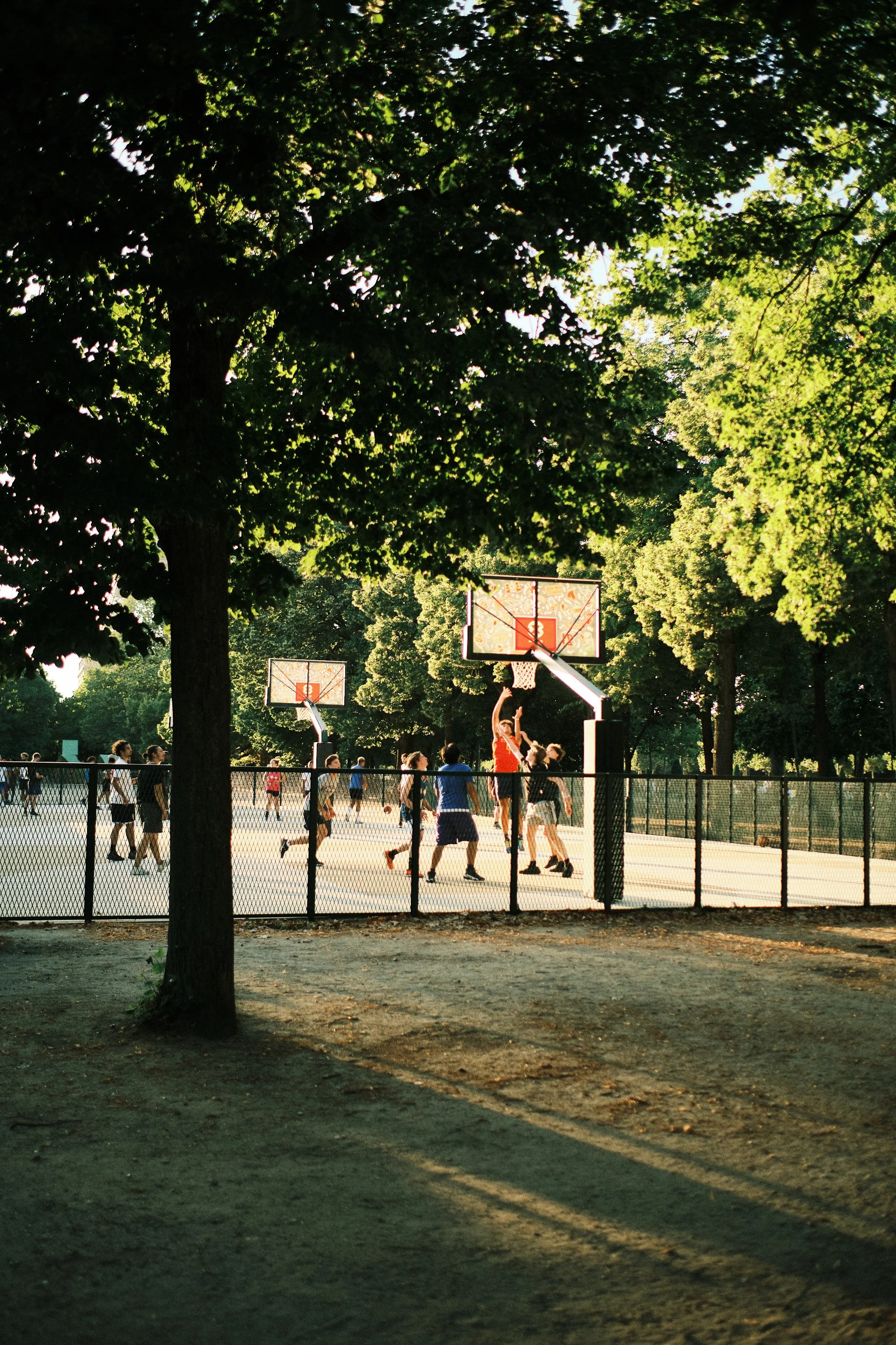 People playing basketball on an outdoor court surrounded by trees in a park during late afternoon.