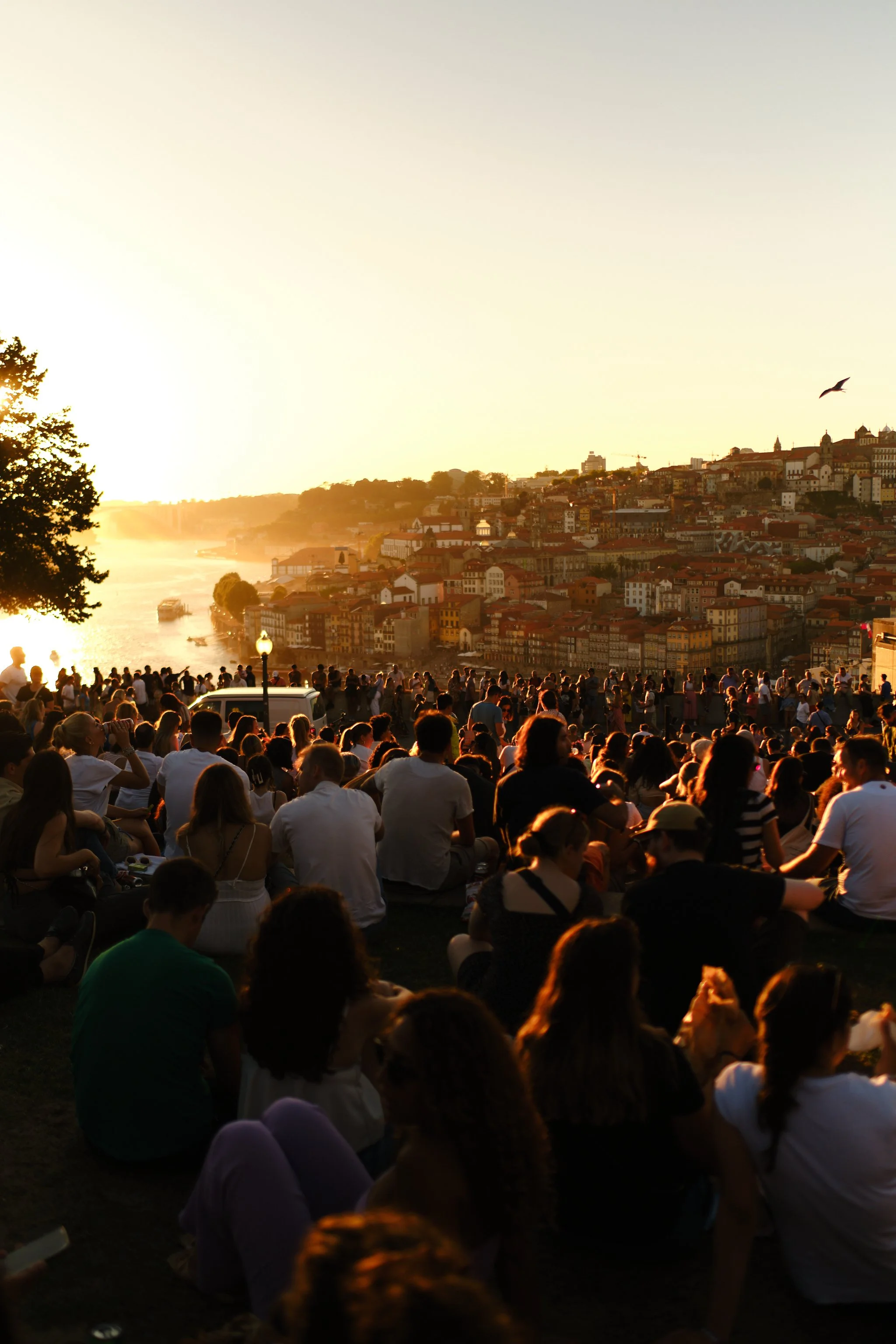 A large crowd of people gathered outdoors on a hillside during sunset, overlooking a river and a city with red-roofed buildings, with birds flying in the sky.