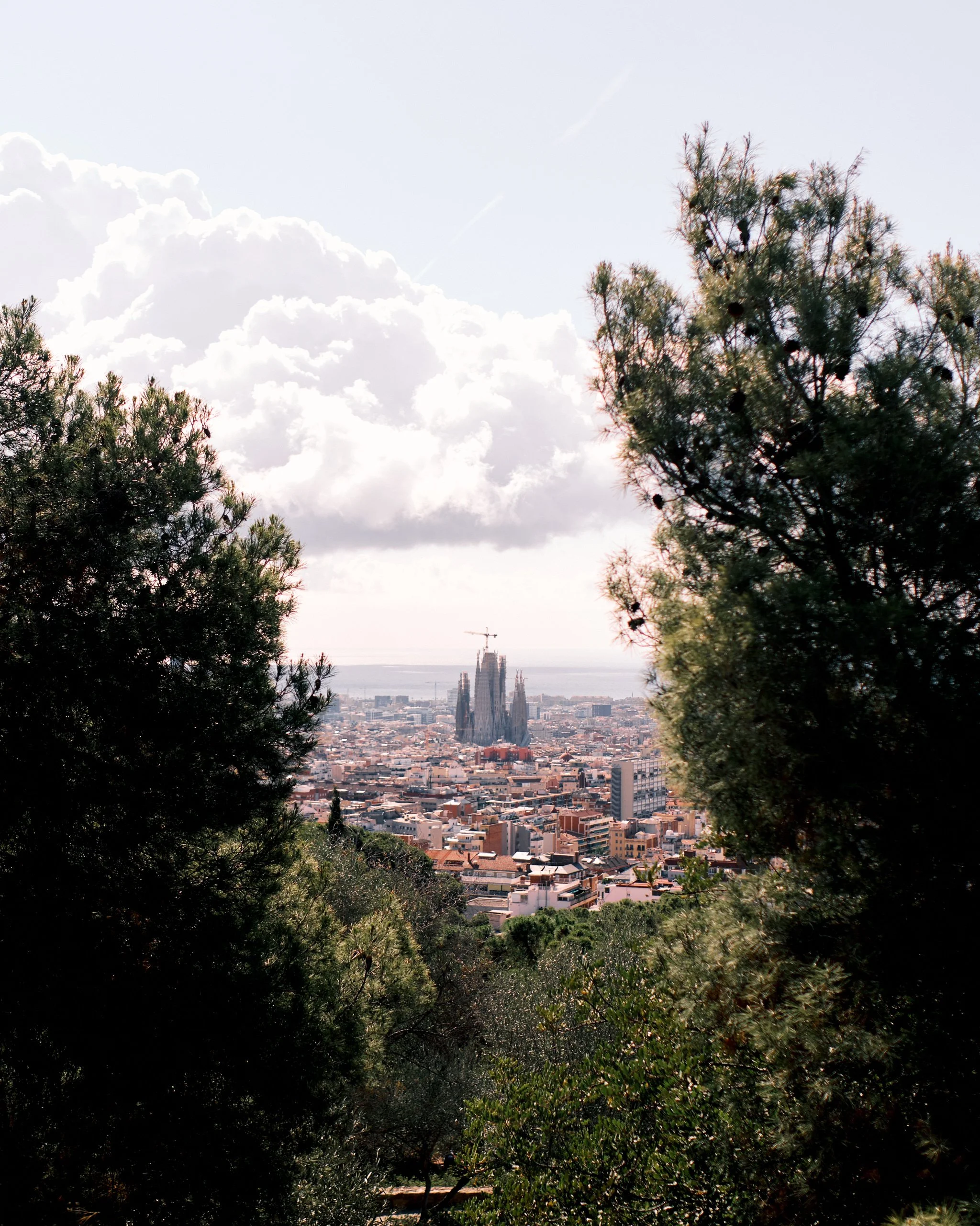 Cityscape view through trees, with the Sagrada Familia basilica in Barcelona, Spain, in the distance.