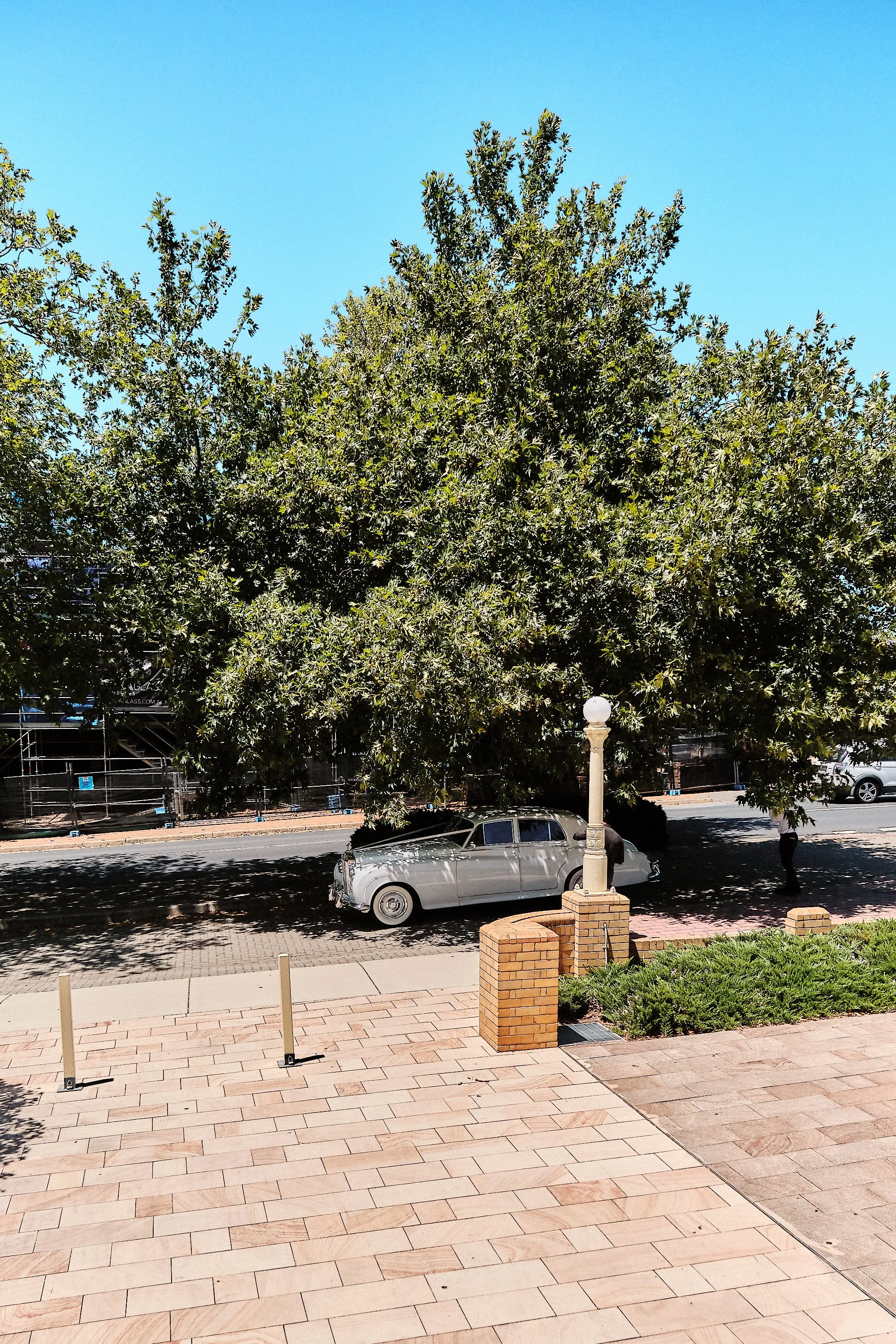 DSCF7533.jpg