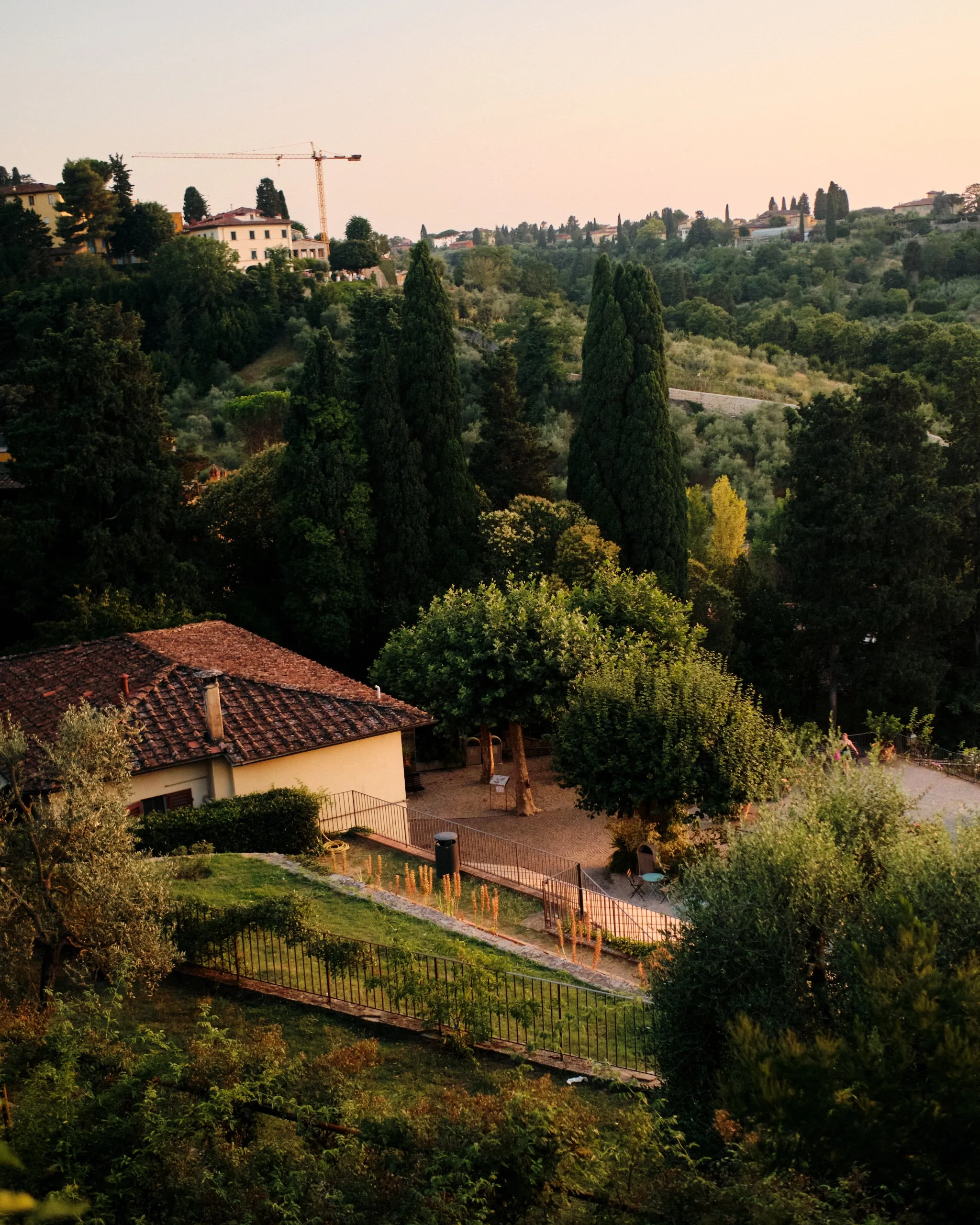 A hillside area with tall cypress trees, houses, and a construction crane in the distance, during sunset.
