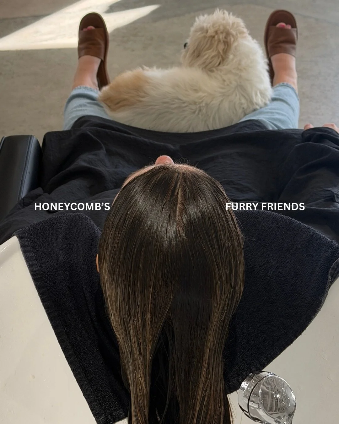 What&rsquo;s better&hellip; hair day or hair day with pet therapy?! We think there is an obvious answer. Honeycomb is pet friendly and we may spoil your furry friend. 🥰🤍