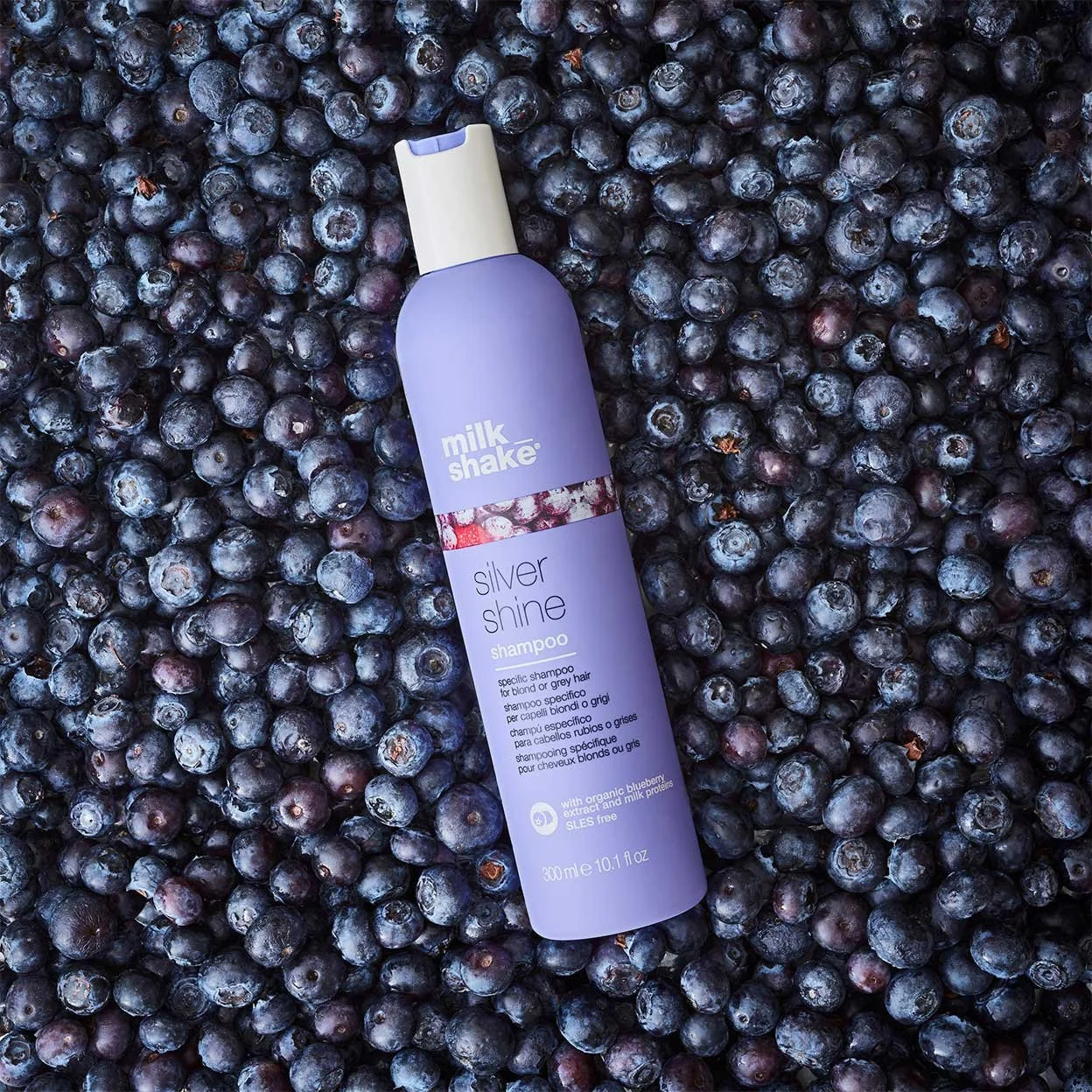 Silver Shine Shampoo