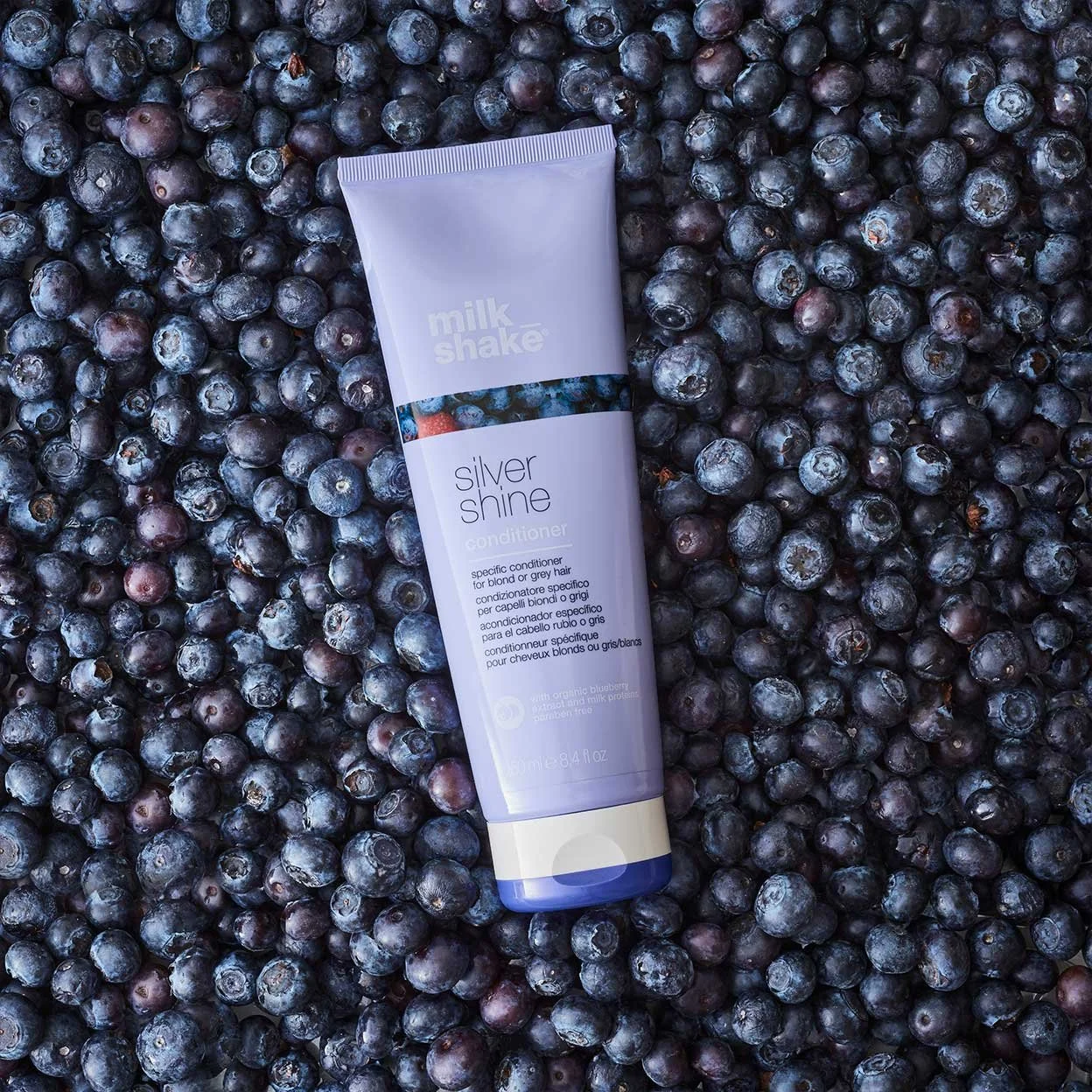 Silver Shine Conditioner