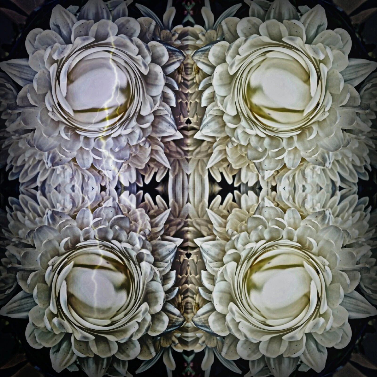 shaunas flowerburst photo.jpg