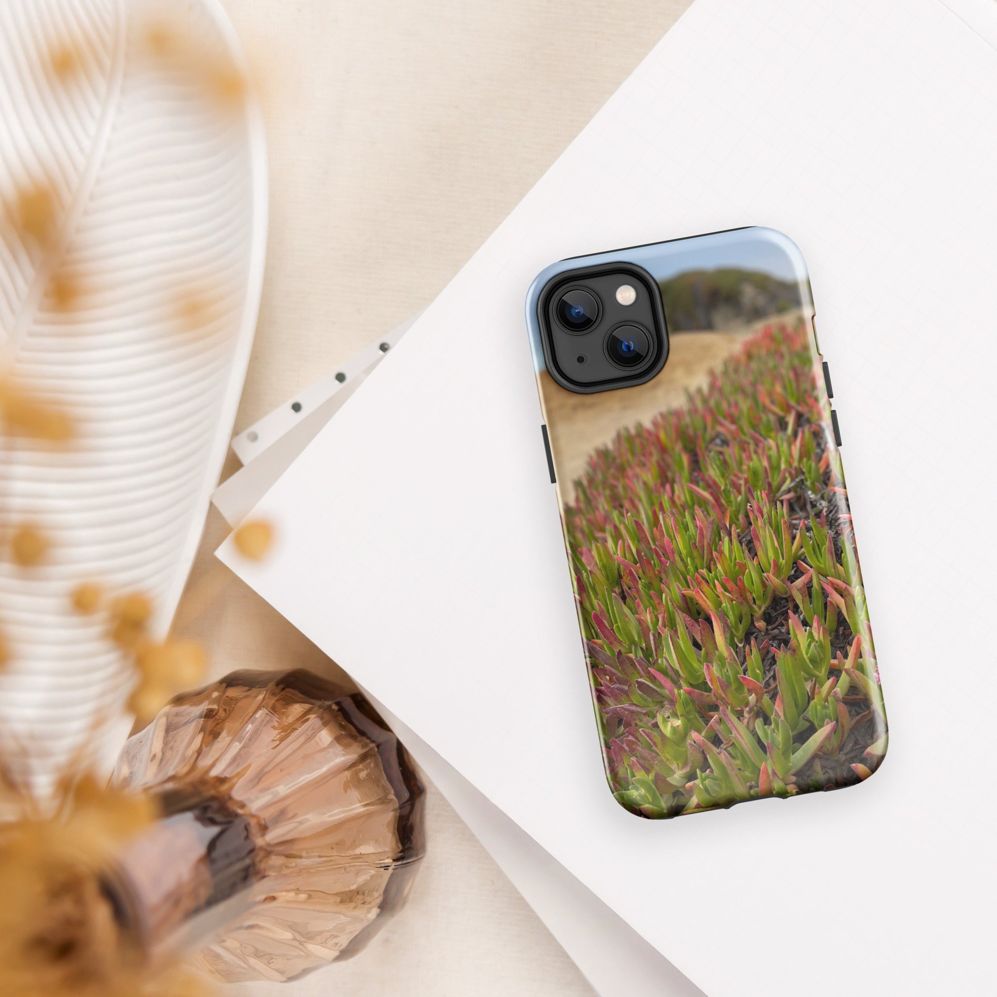 tough-case-for-iphone-glossy-iphone-14-plus-front-668f5fe7efdff.jpg
