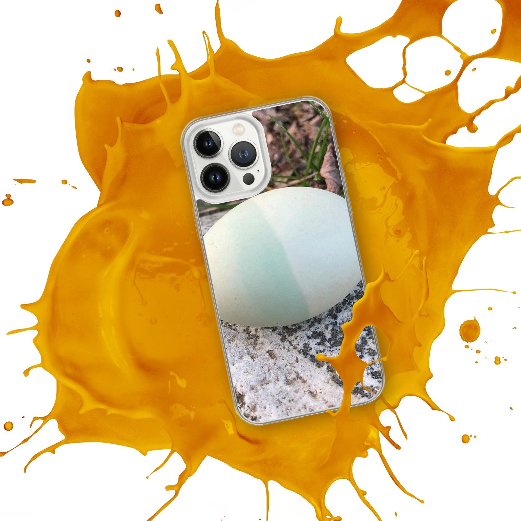 clear-case-for-iphone-iphone-13-pro-max-front-3-668f704b9e35a.jpg