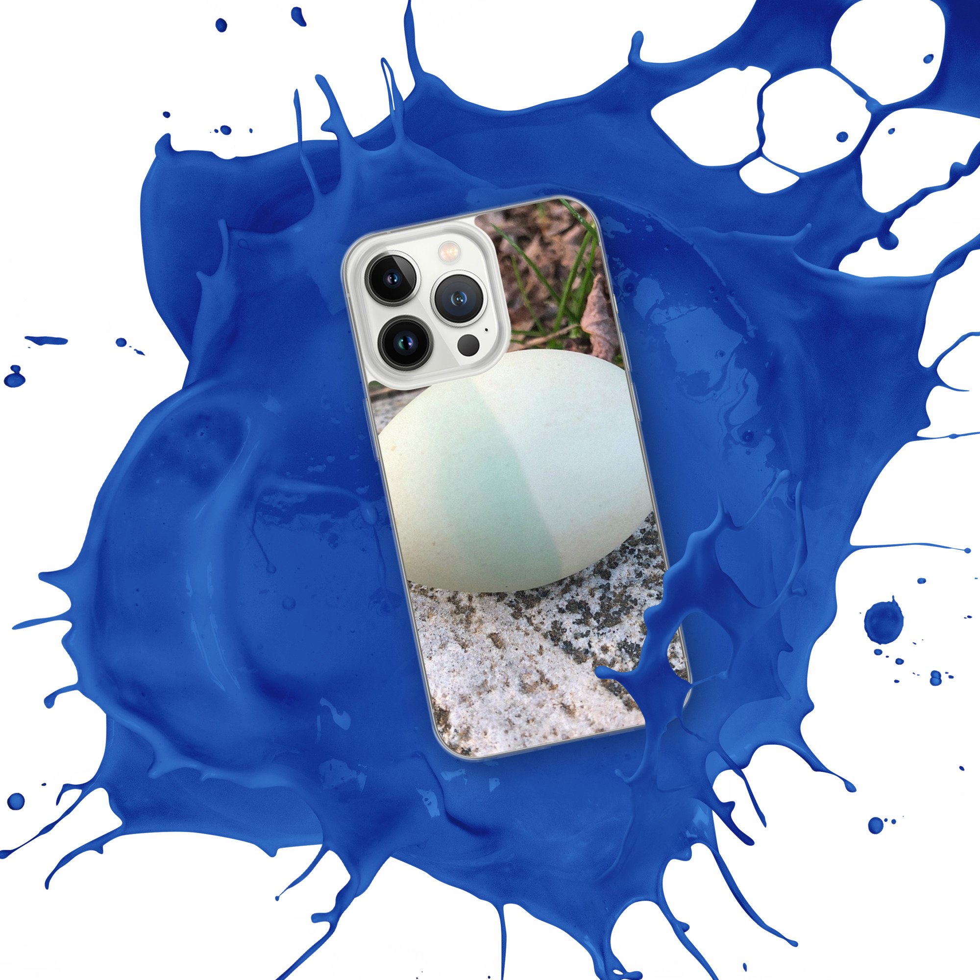 clear-case-for-iphone-iphone-13-pro-front-2-668f704b9e45d.jpg