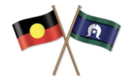 Screen Shot 2020-11-24 at 12.15.51 pm.png