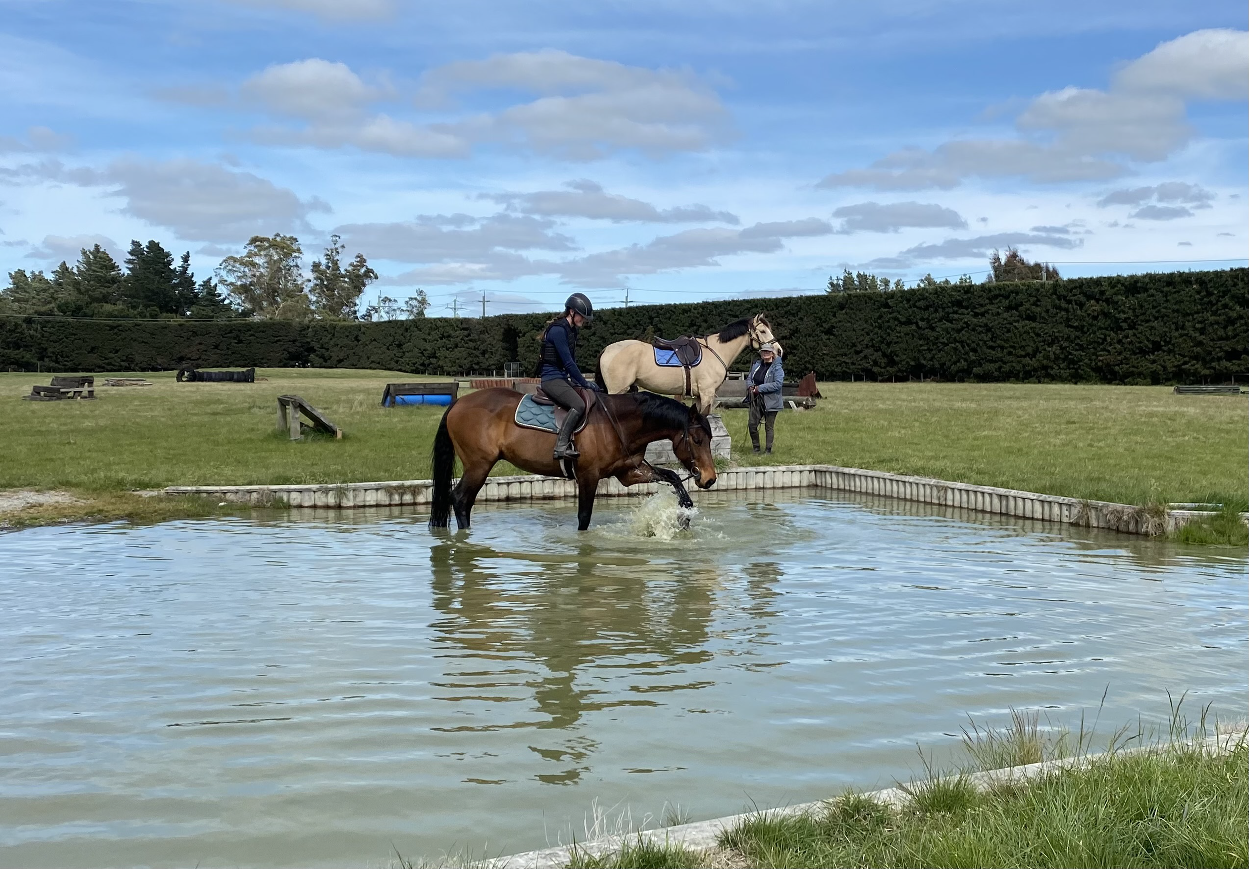 Gymmie loving the water, Sarge at the back