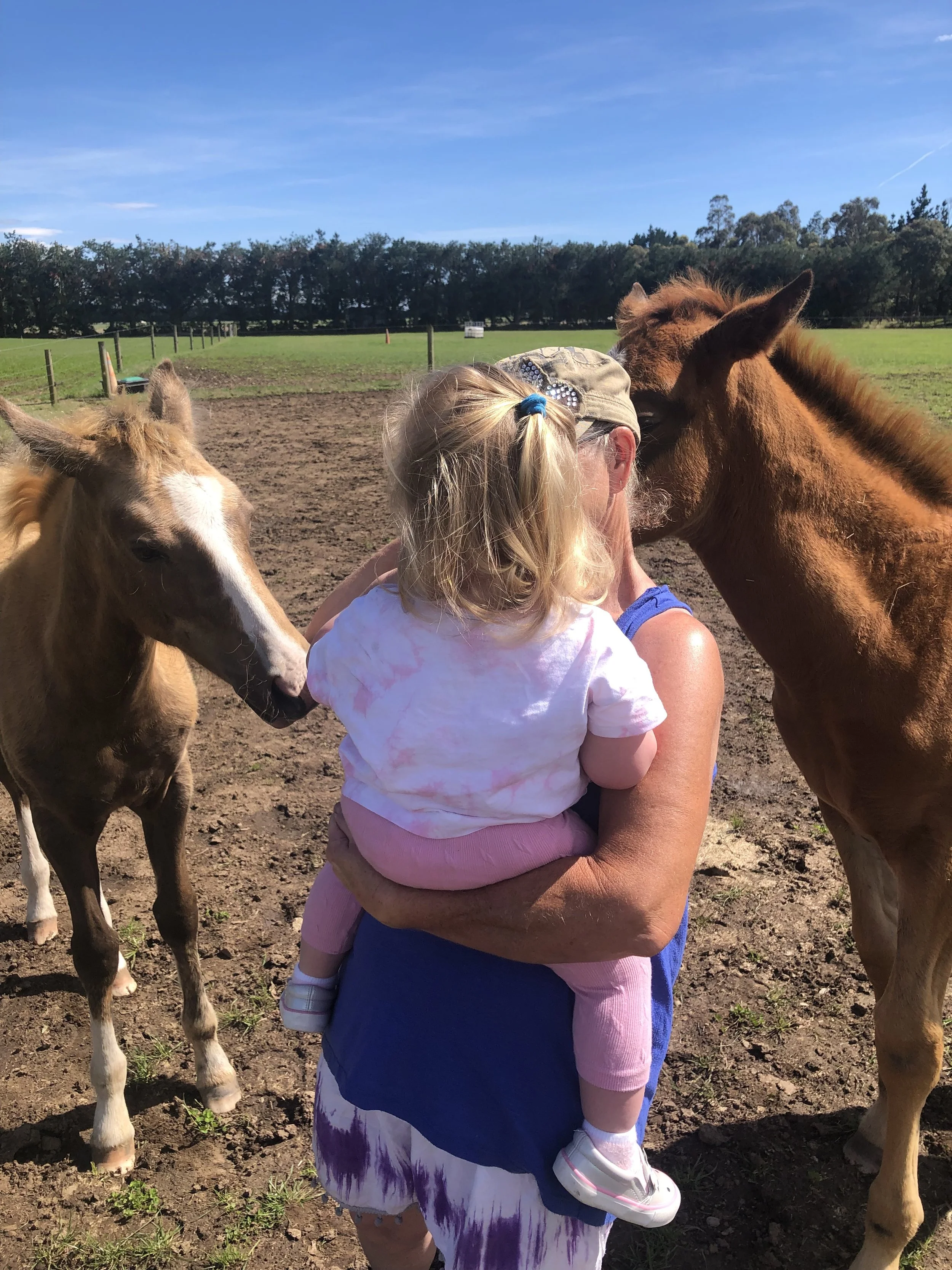 Lilly and Queenie with a friends grand-daughter and me