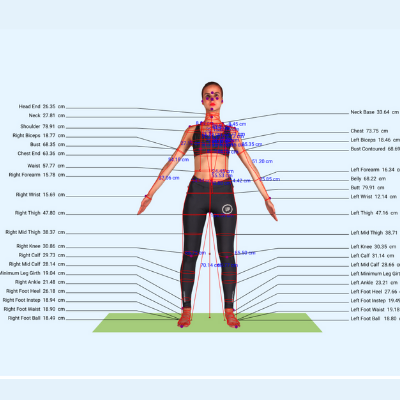 Full Body Measurements