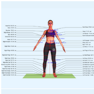 Full body measurements
