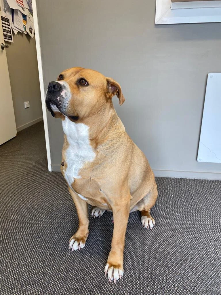 WhatsApp Image 2020-12-01 at 14.07.11 (3).jpeg