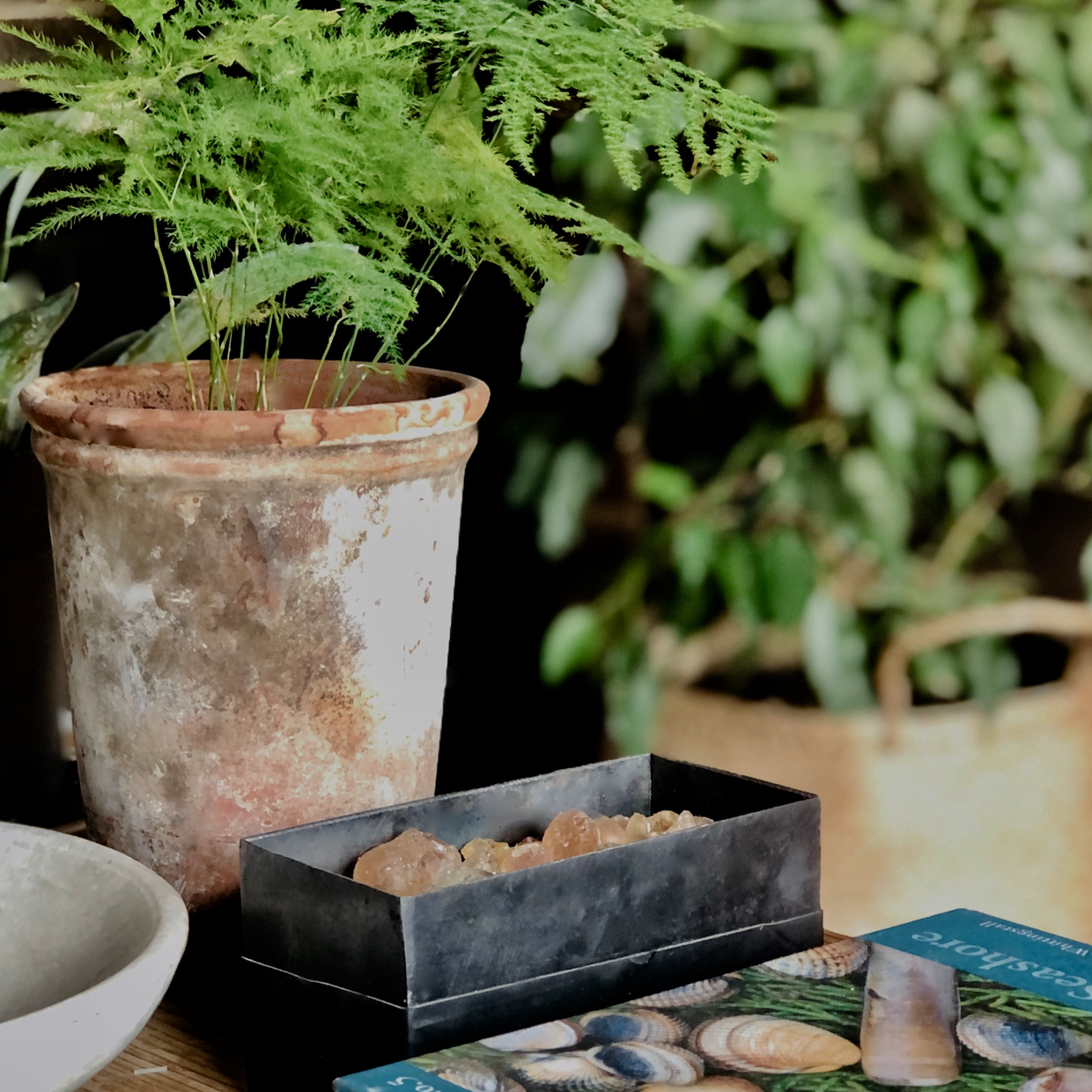 Screen Shot 2024-12-31 at 11.10.51.png