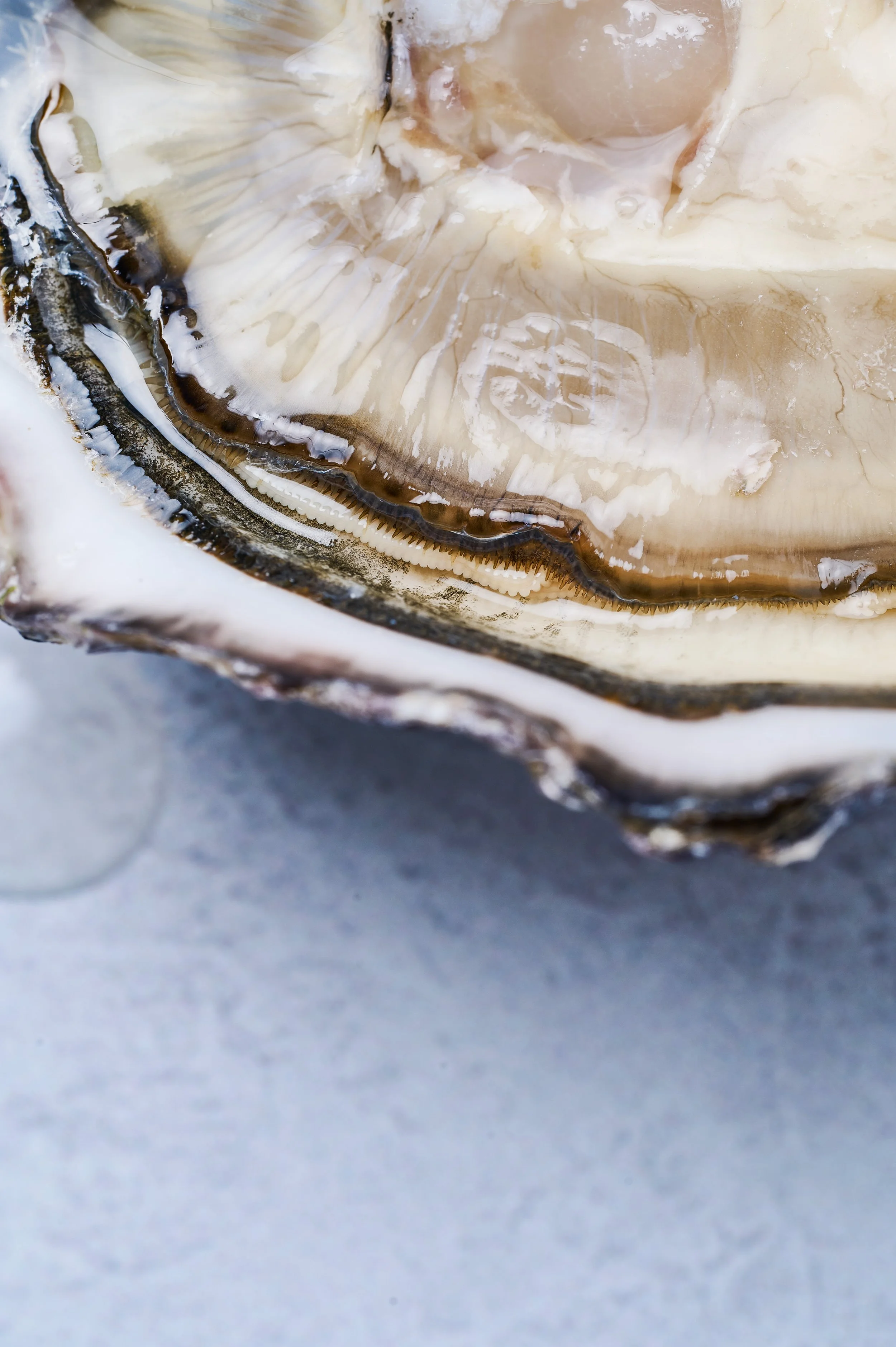 Rocks Oysters0097.jpg
