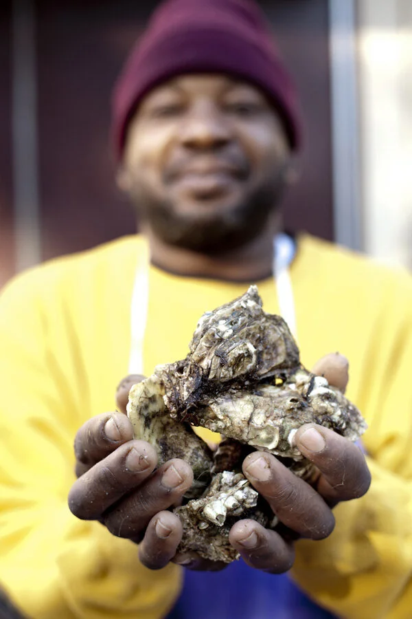 Rocks/Box subscription card