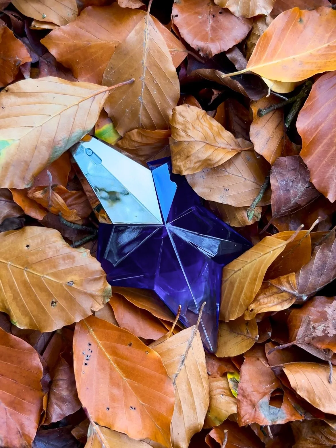 Autumn 📷 roll 🥮

Loved all the chats in my DMs about this iconic fragrance! Does Angel 🪽 bring back nostalgic memories for you? 

This one is Angel Stellar with bergamot, pistachio, bourbon vanilla. Soo delicious and perfect for Autumn &amp; lasts