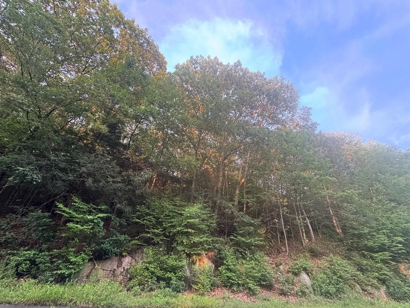 #connecticut #barkhamstead #barkhamstedct