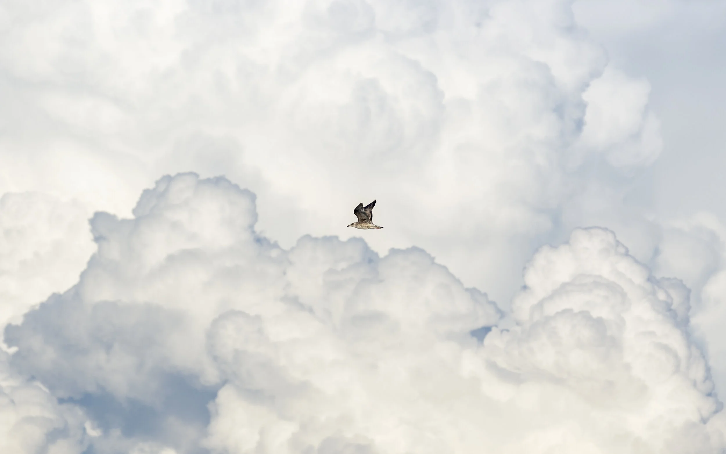 Nature-20.jpg