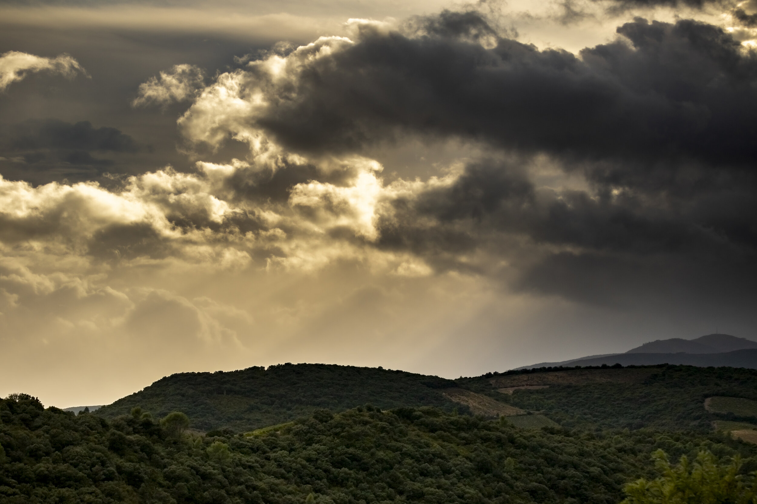 Paysages-21.jpg