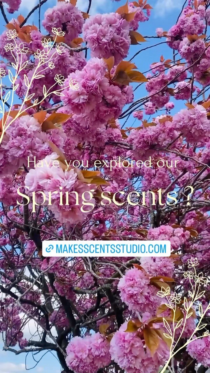 Makes Scents Studio Candles designed to be upcycled.
