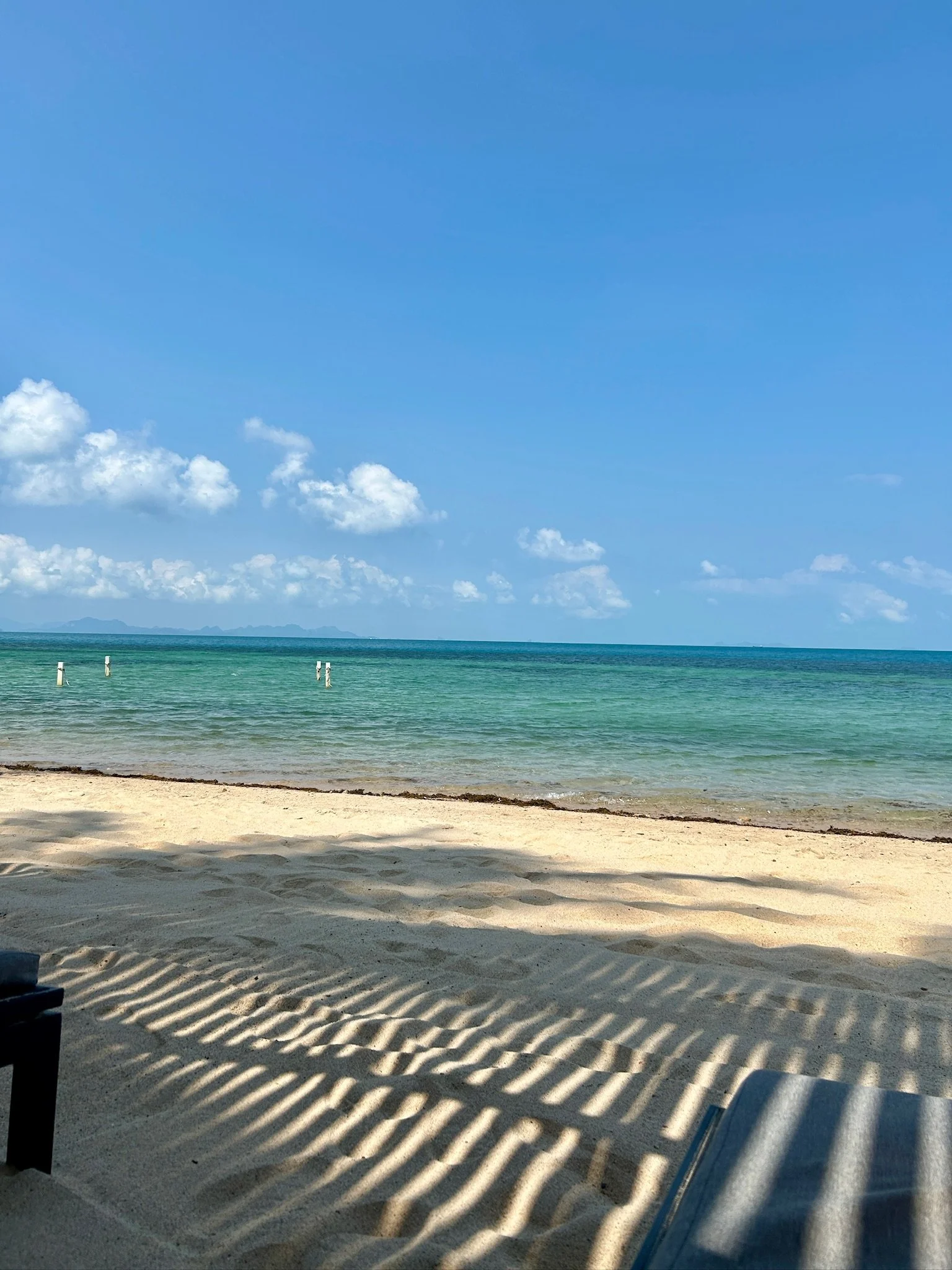 IMG_6022.jpeg