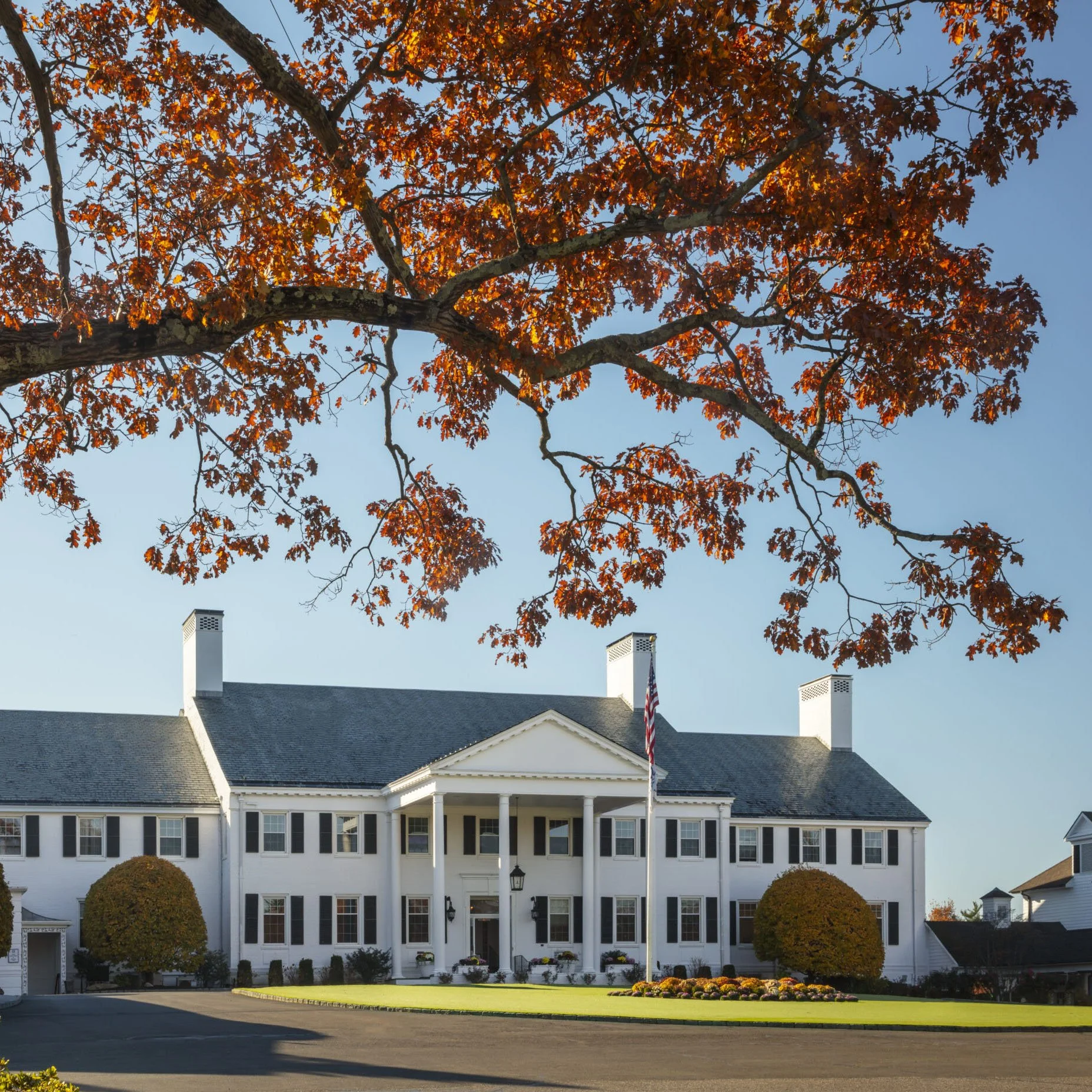 Designing Greenwich