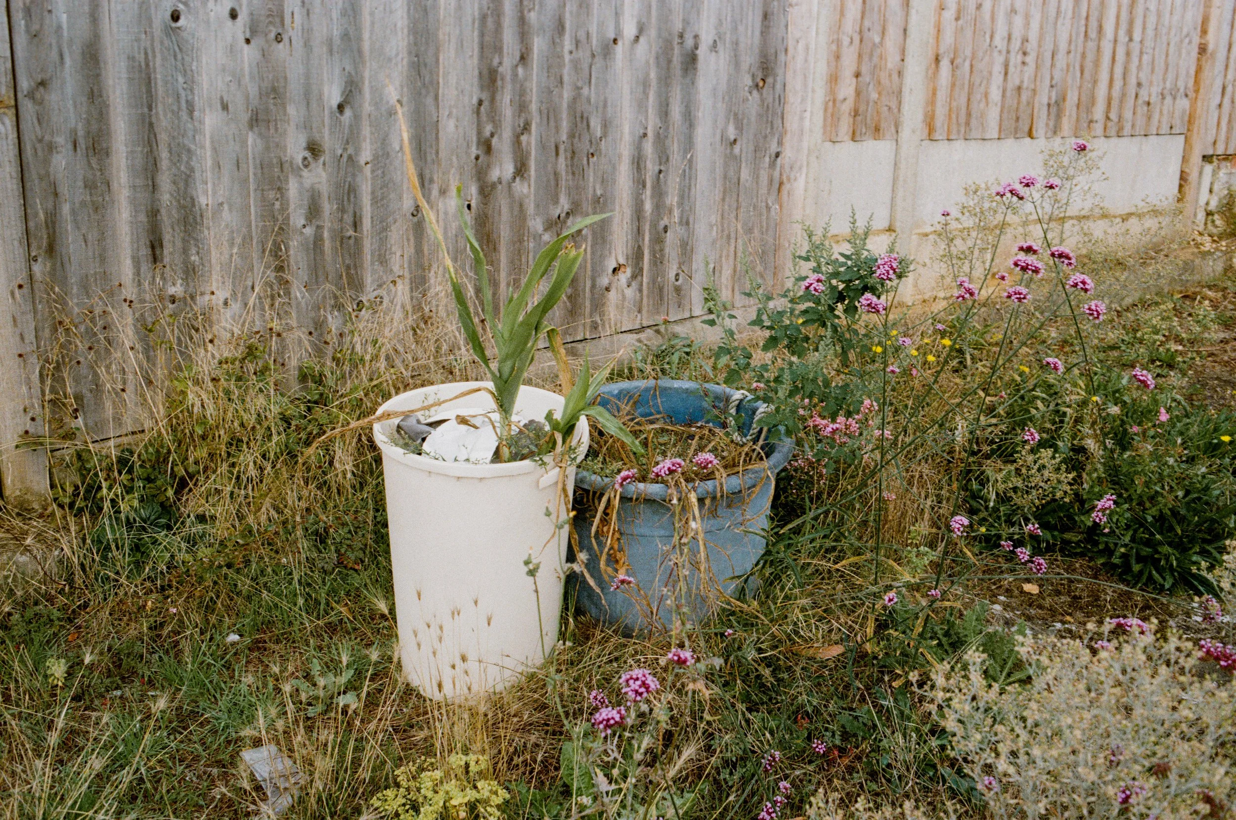 ChandlersFord_ProIm_Sept_7.jpg