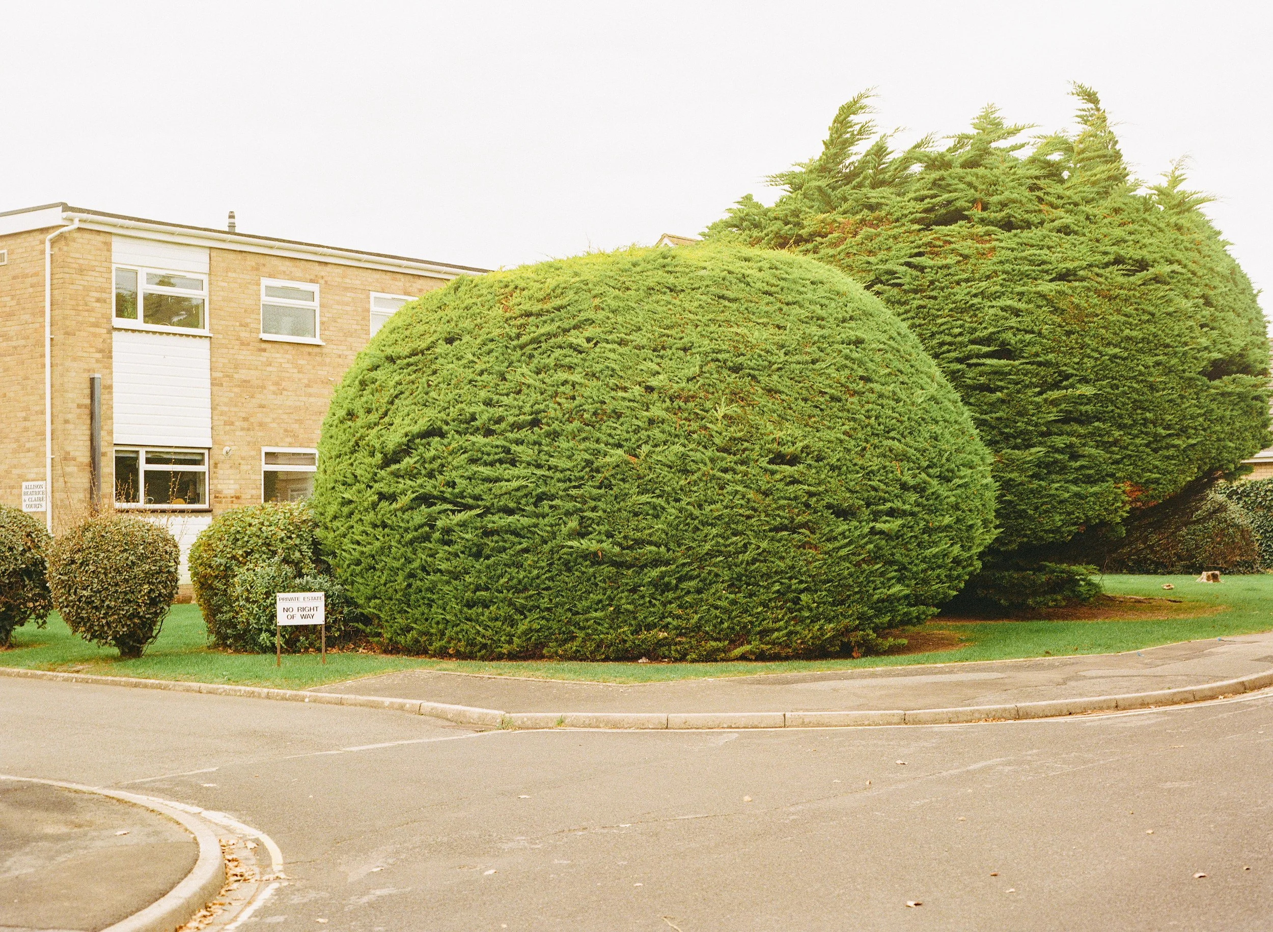 43_Milford_on_Sea_Gold_9.jpg