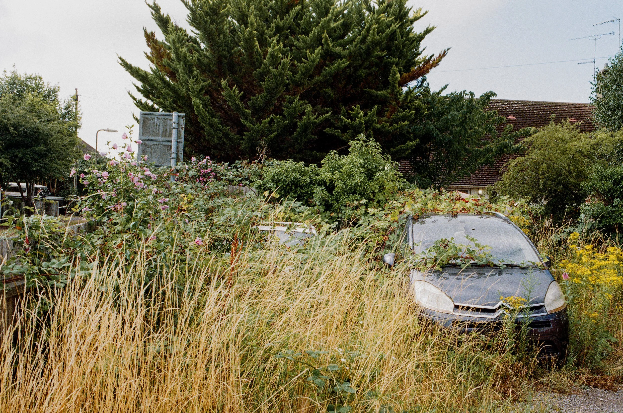 Ringwood_July_2.jpg