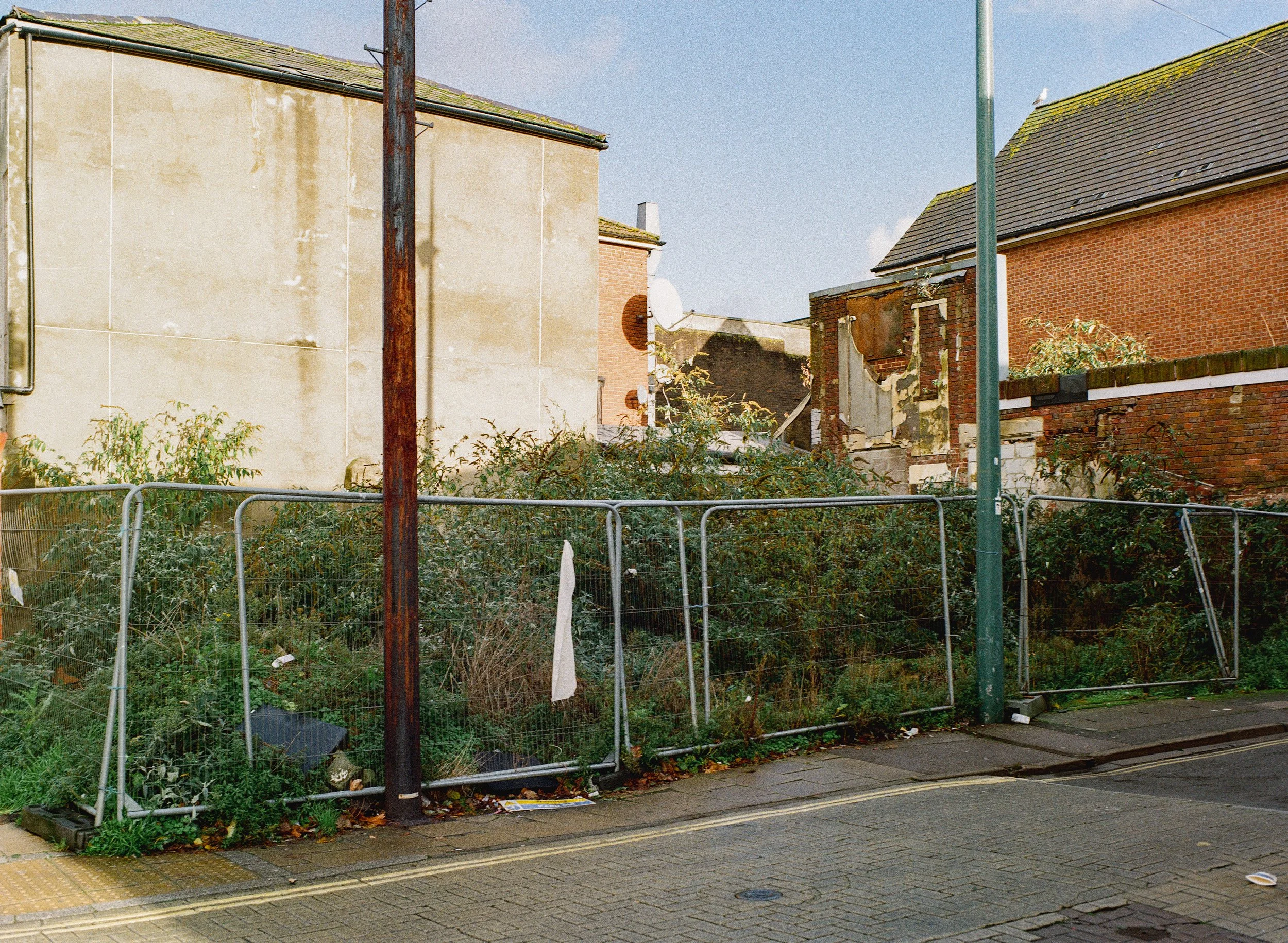Southampton_Gold_Nov_13.jpg