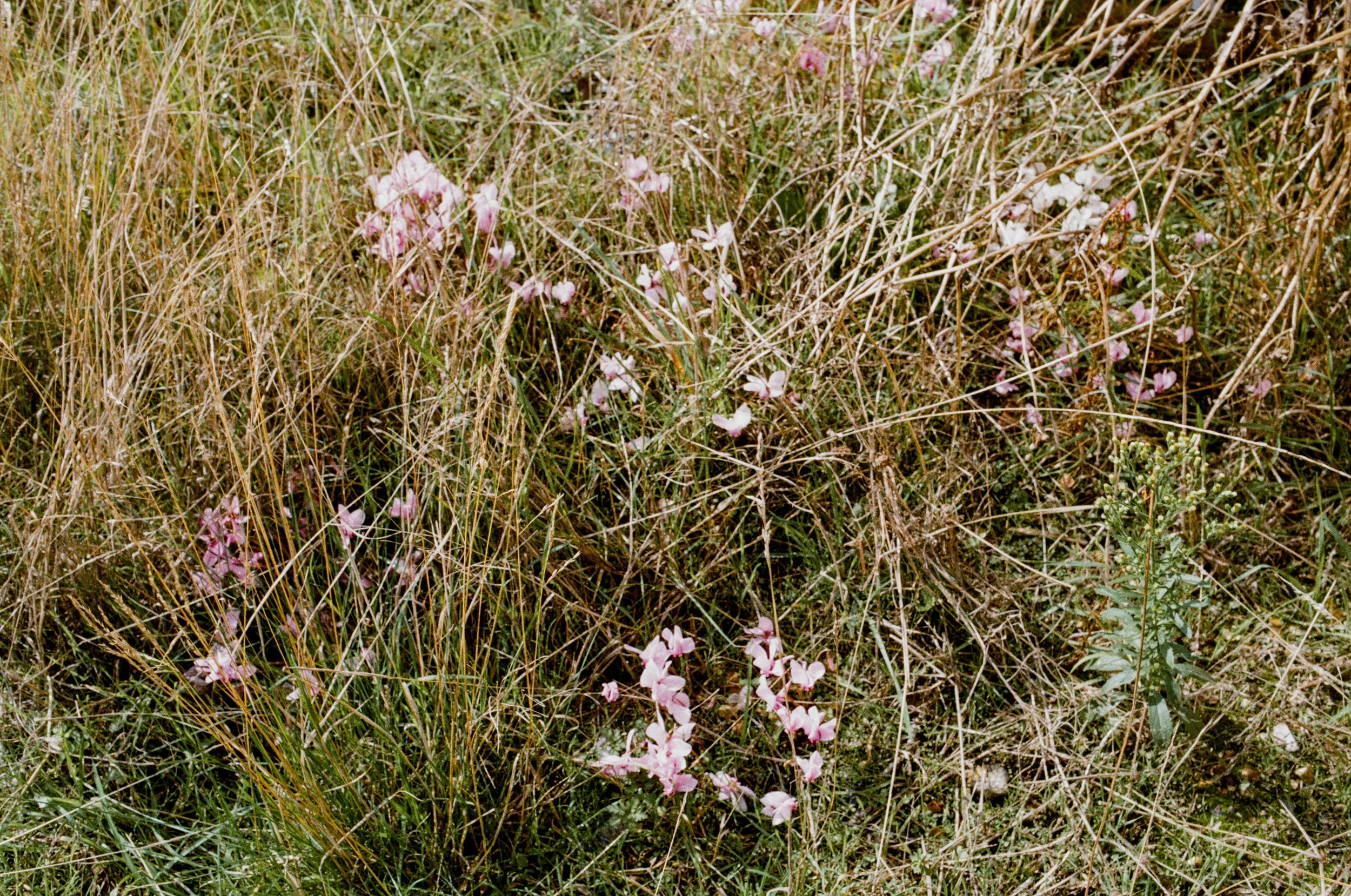 Eling_ProIm_Sept_3.jpg