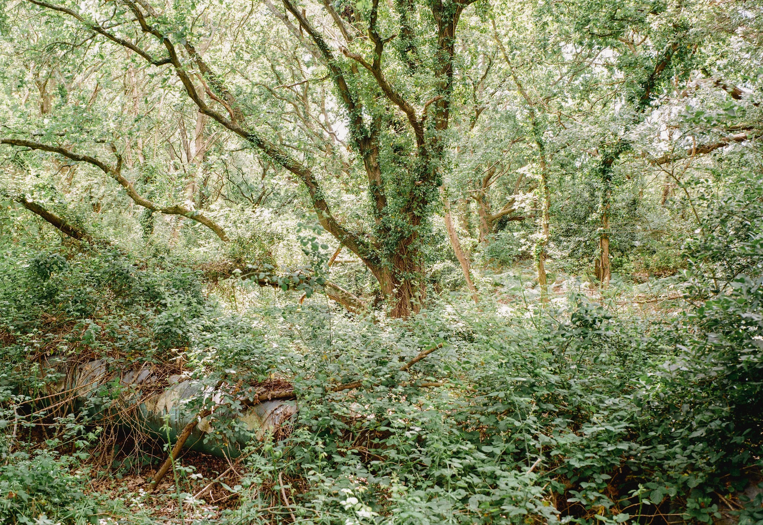 43_Ashlett_TBC.jpg