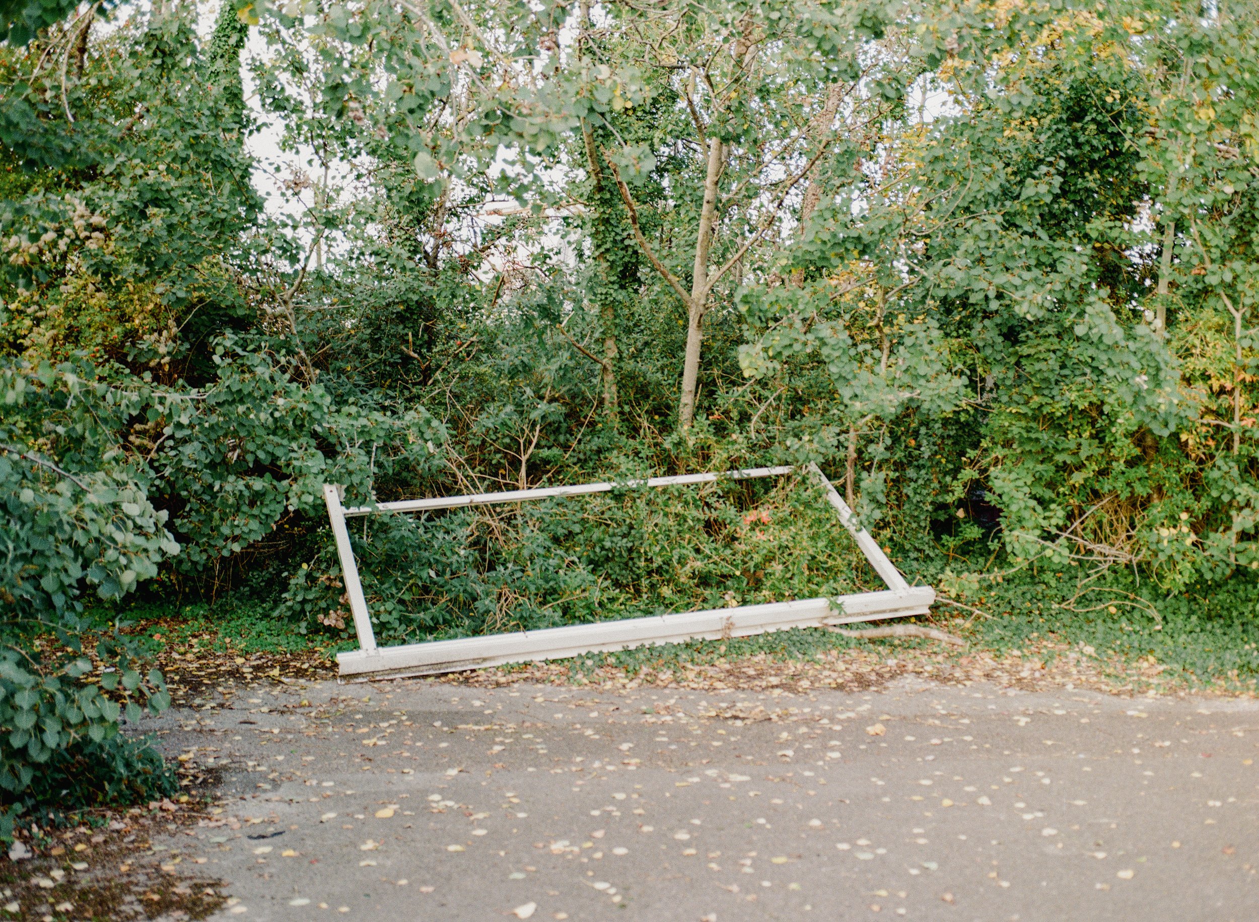 Southampton_Gold_Oct_9.jpg