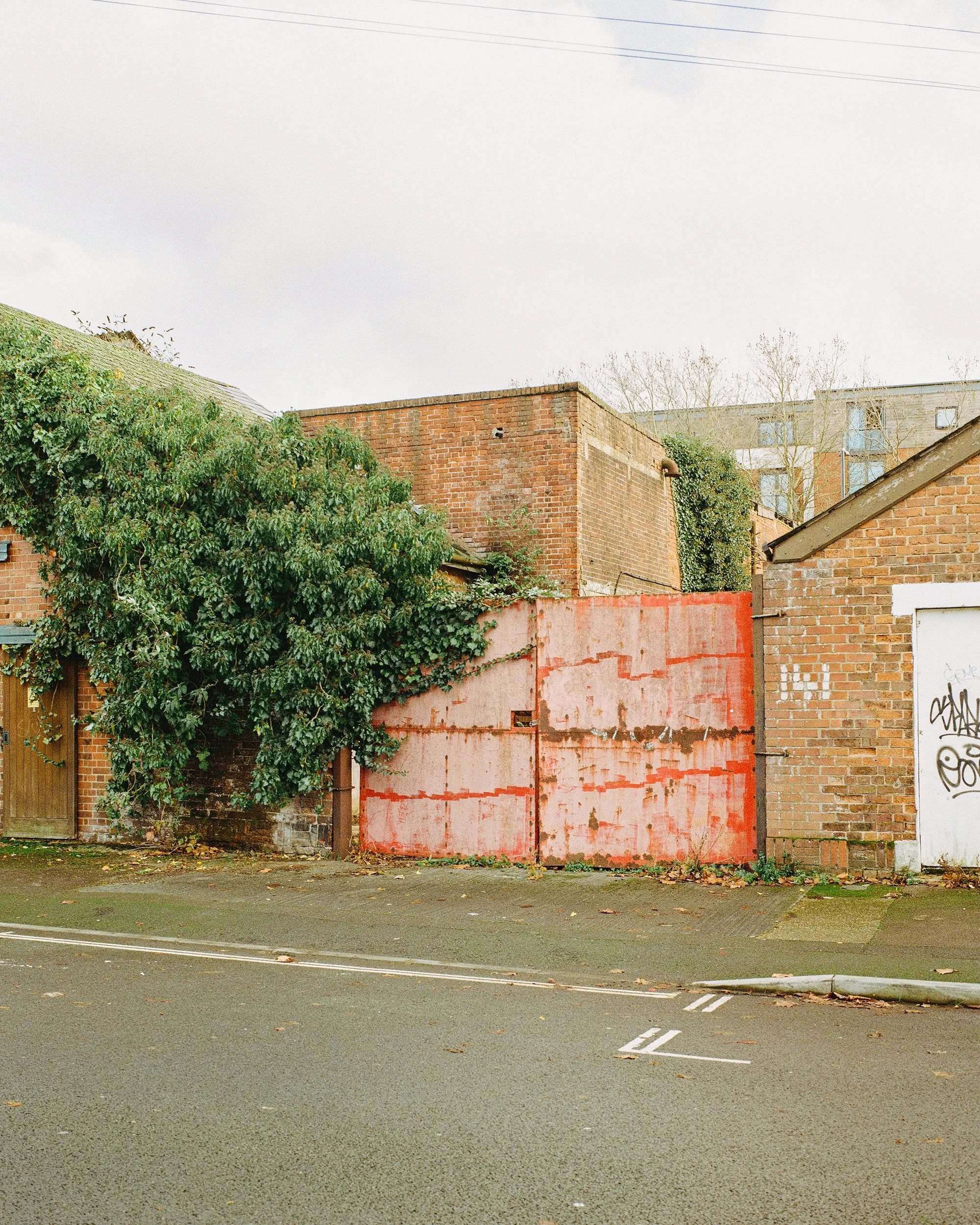 Southampton_Gold_Dec_7.jpg