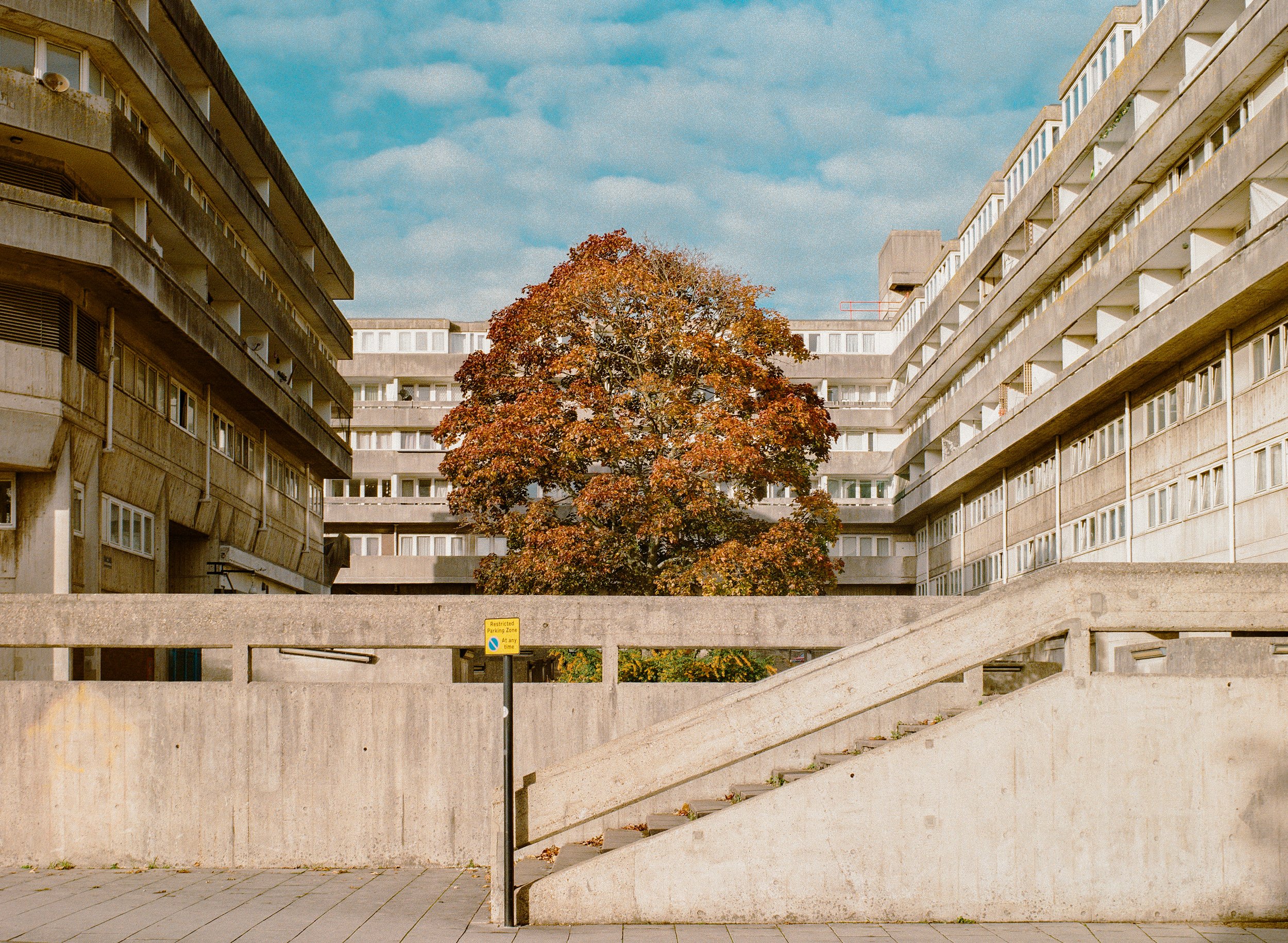 Southampton_Gold_Oct_3.jpg