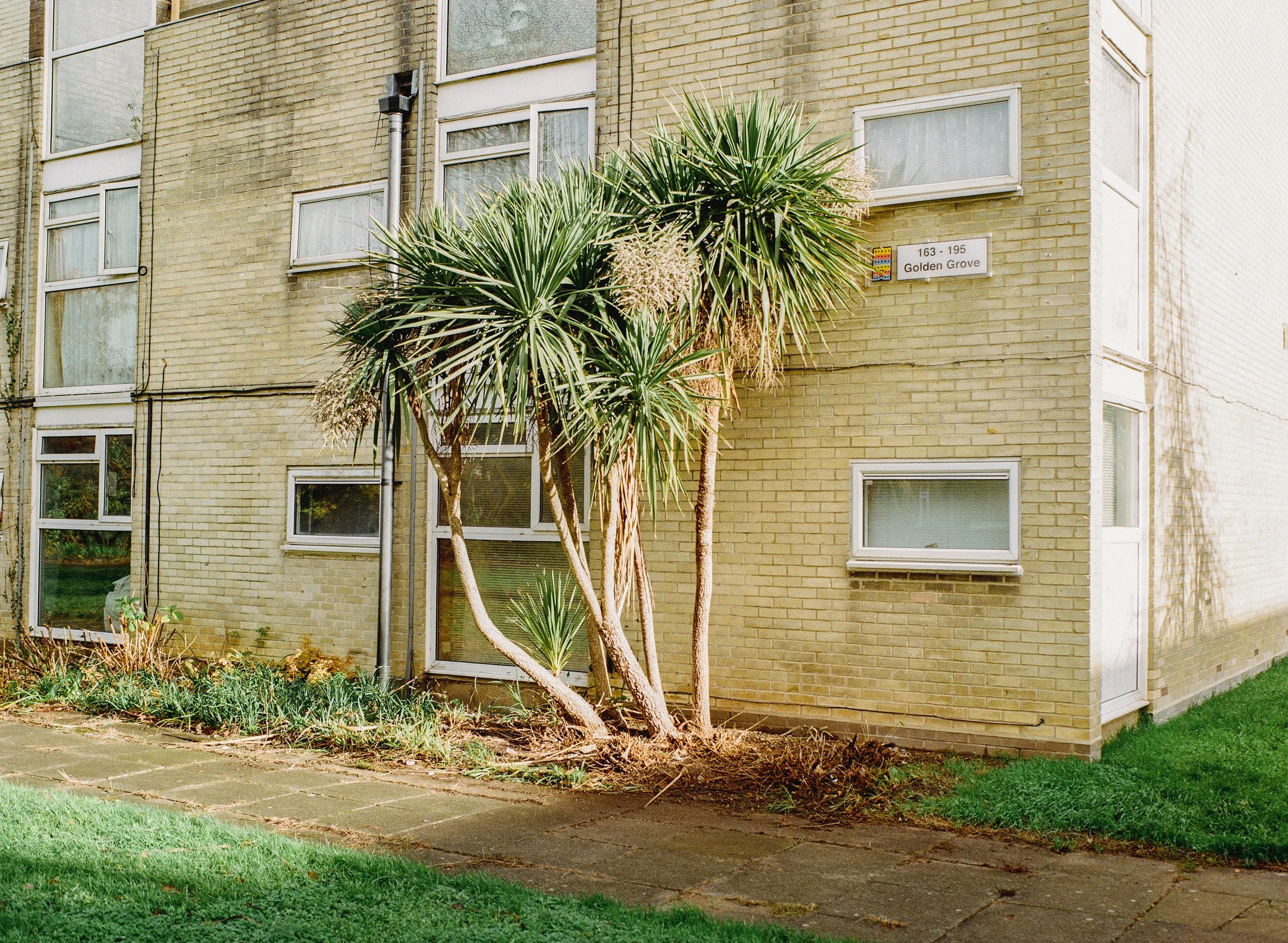 Southampton_Gold_Nov_14.jpg